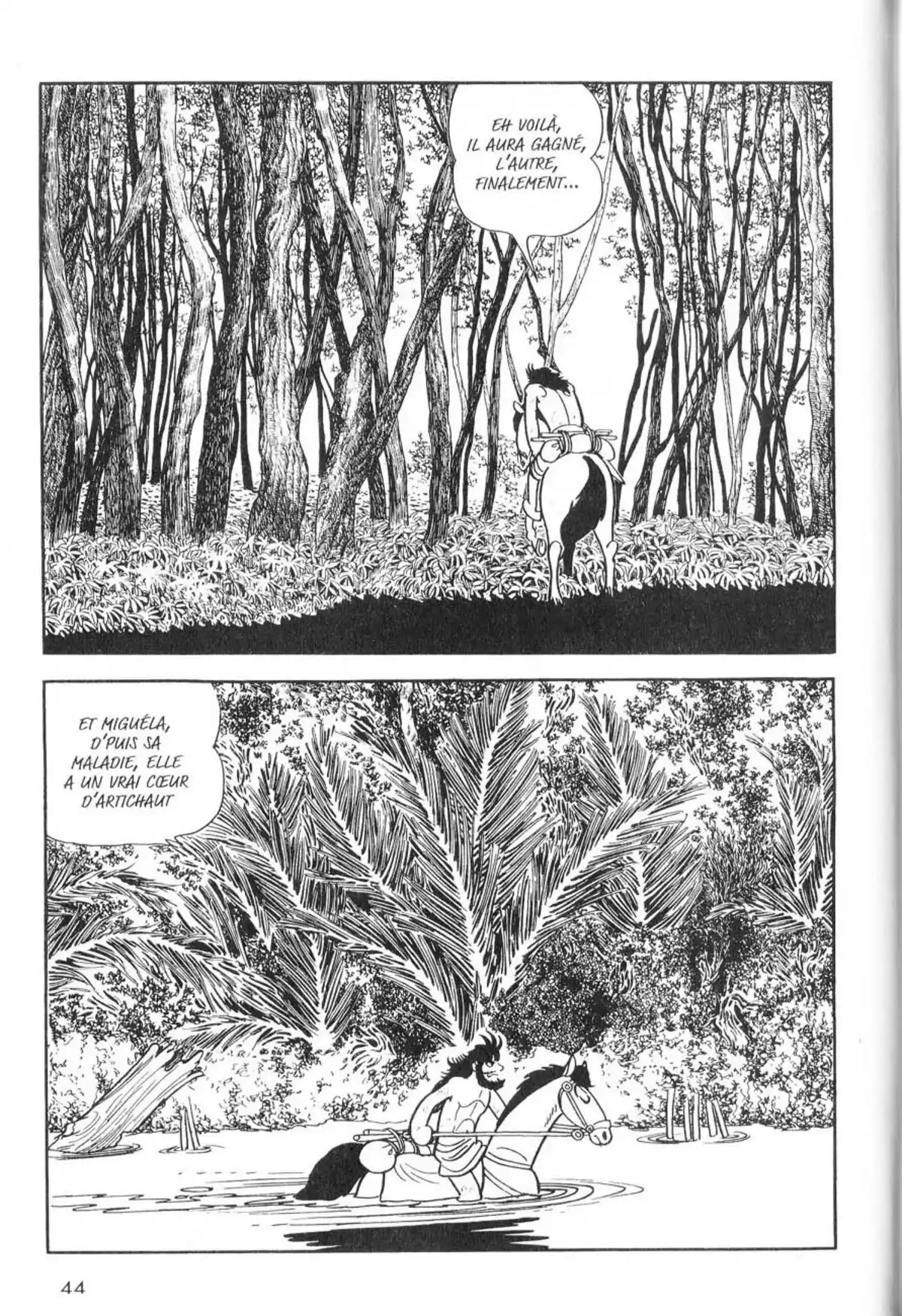La Vie de Bouddha Volume 5 page 45