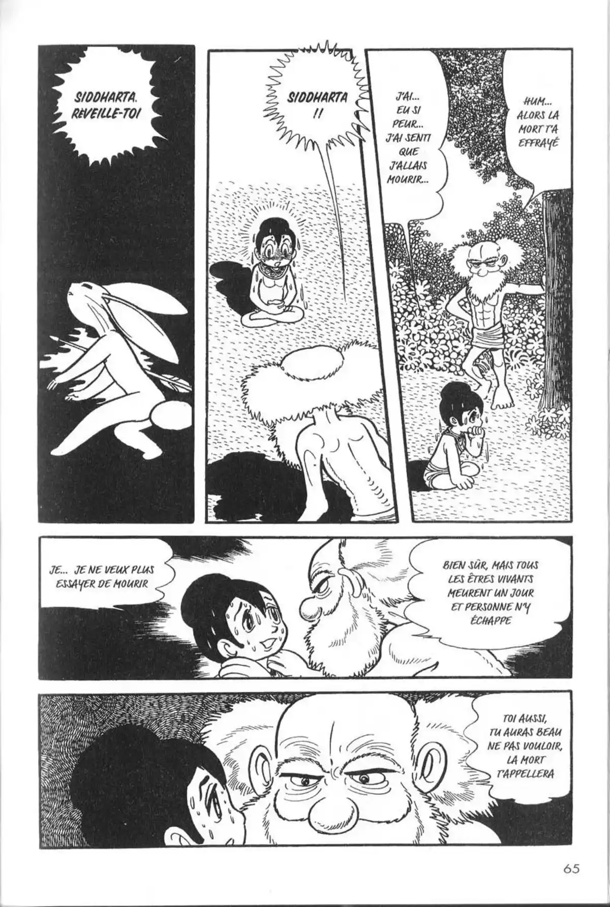 La Vie de Bouddha Volume 2 page 66