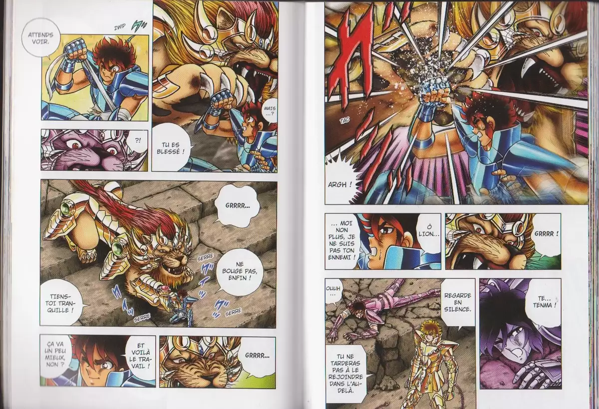 Saint Seiya – Next Dimension – Le mythe d’Hadès Volume 6 page 47