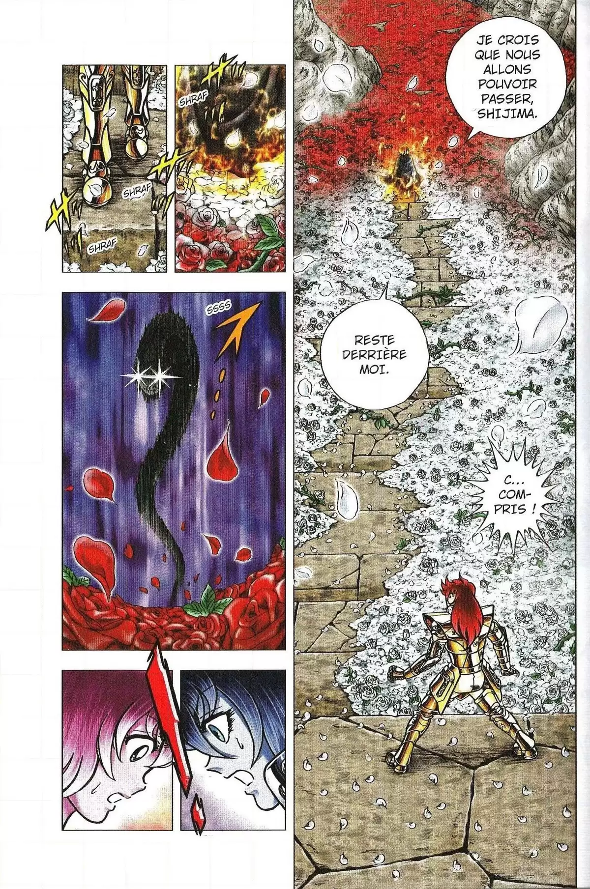 Saint Seiya – Next Dimension – Le mythe d’Hadès Volume 10 page 44