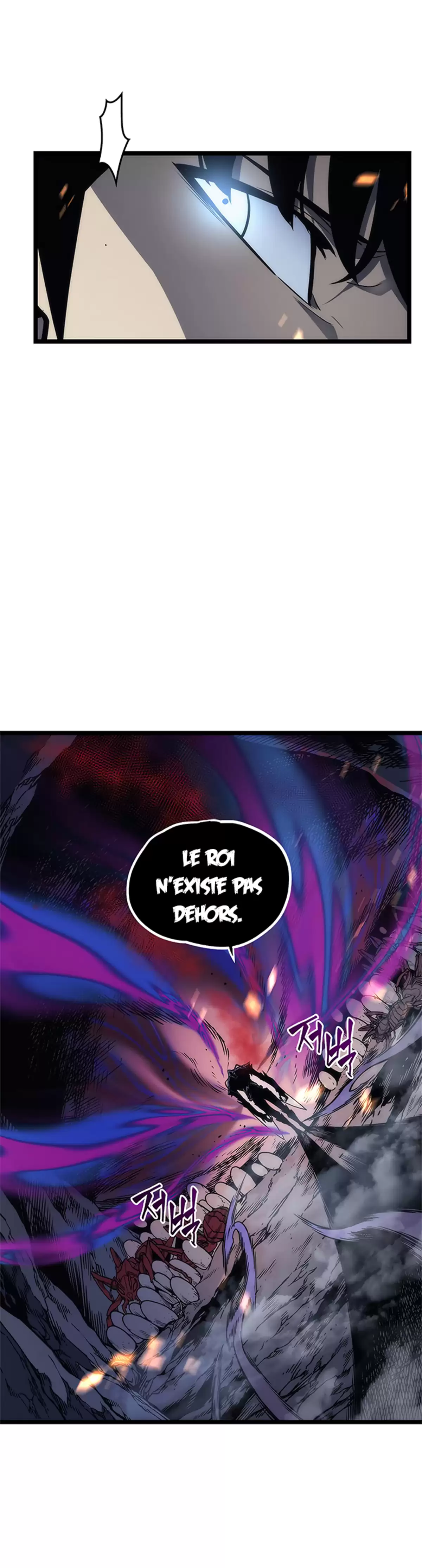 Solo Leveling Chapitre 101 page 29