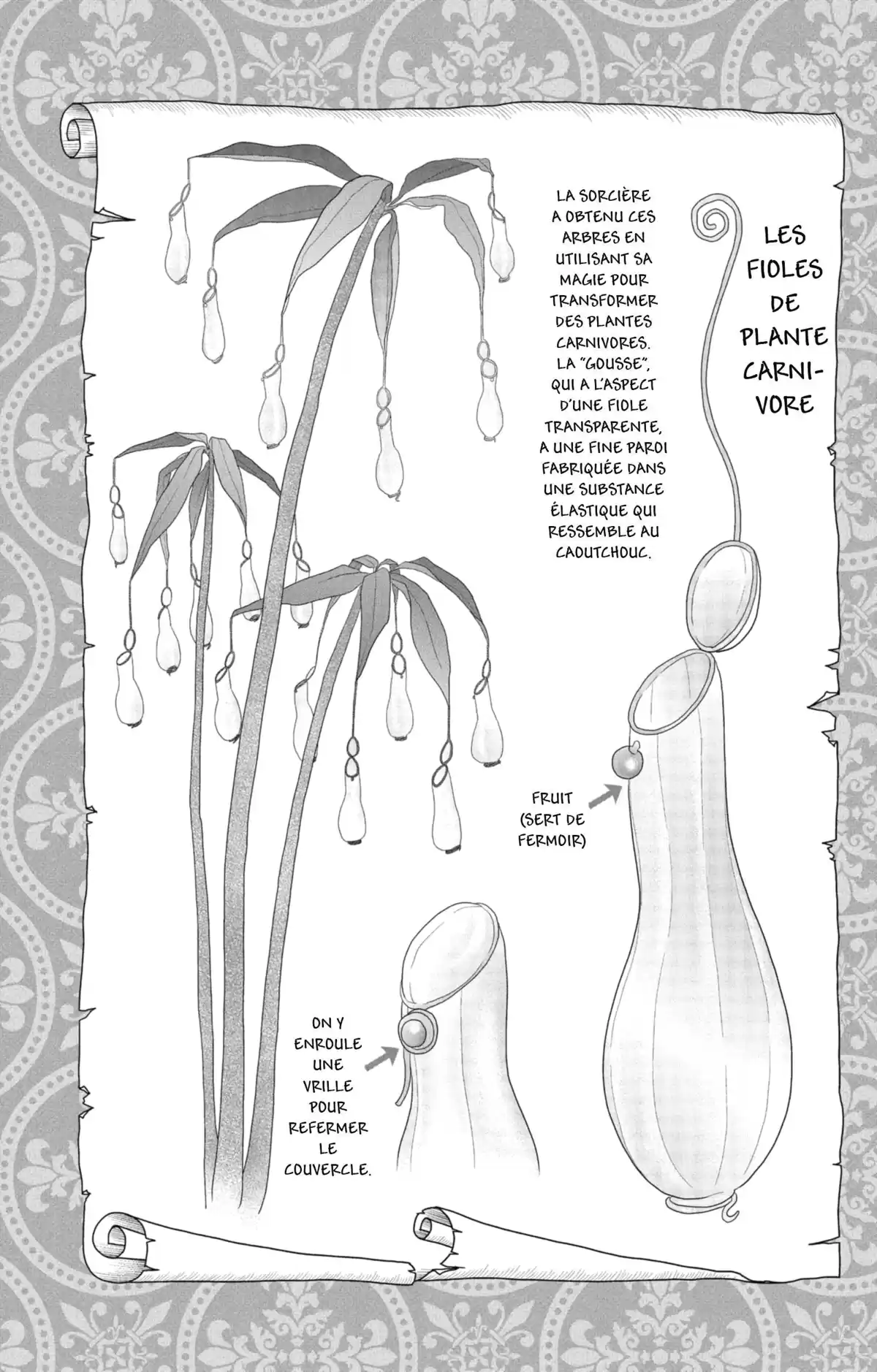 La Sorcière aux champignons Volume 1 page 33
