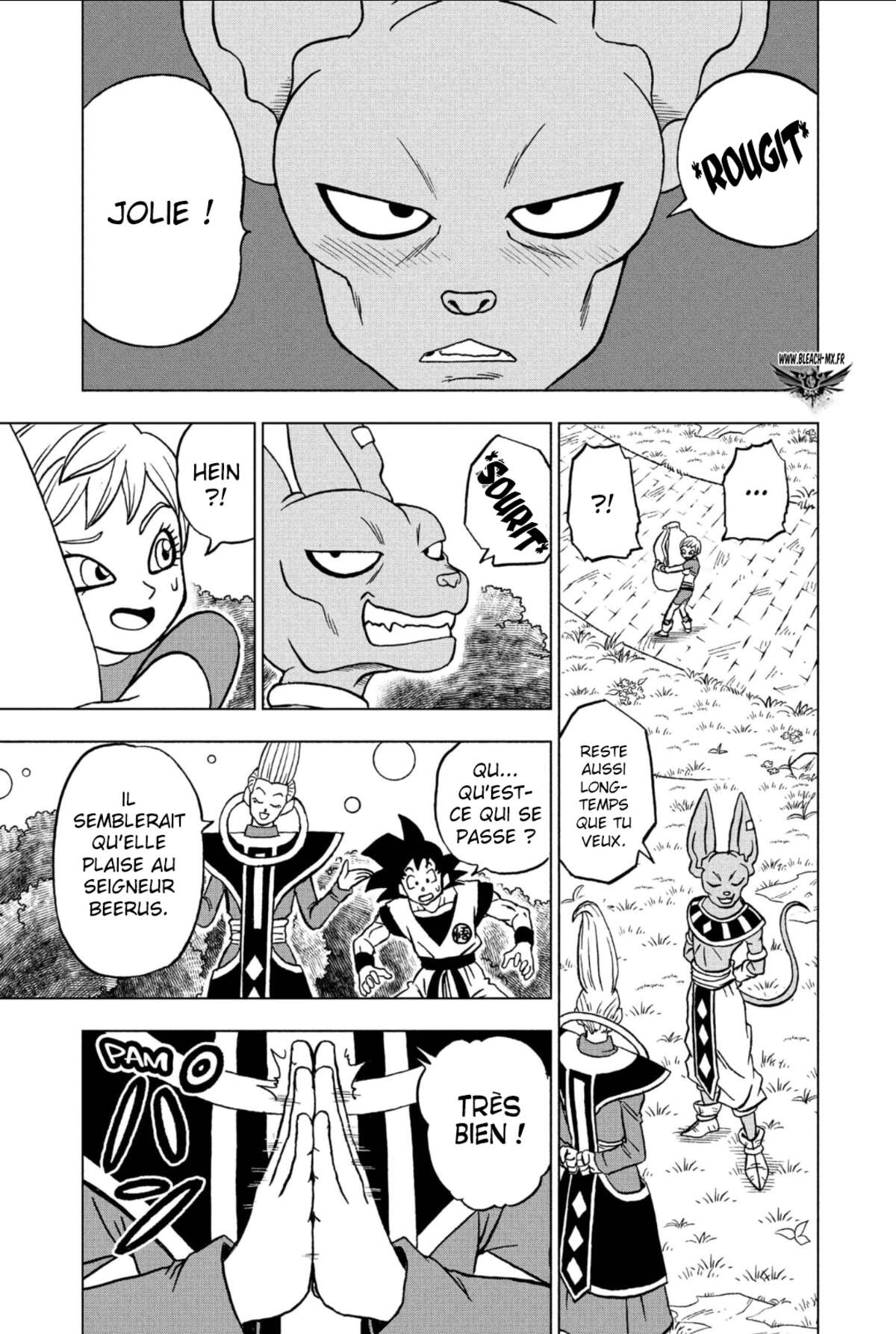 Dragon Ball Super Chapitre 93 page 16