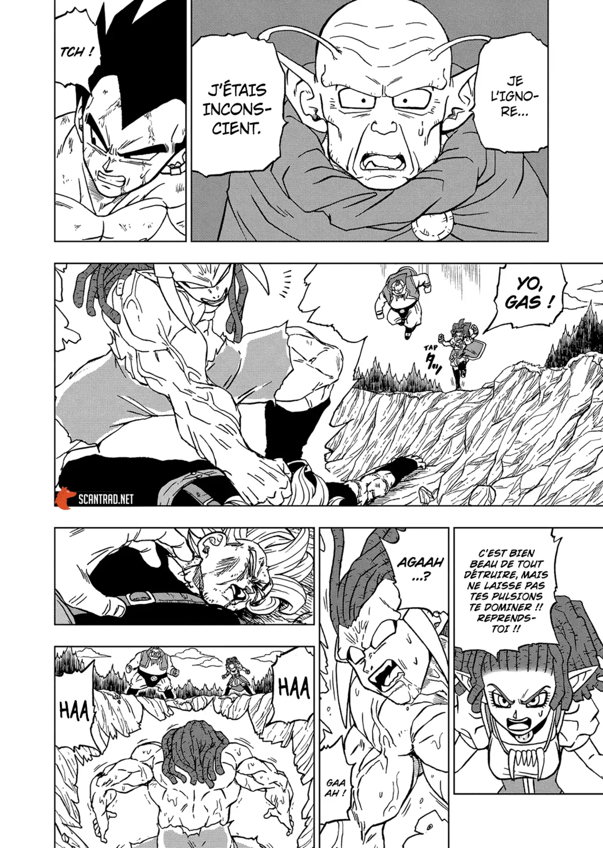 Dragon Ball Super Chapitre 80 page 33