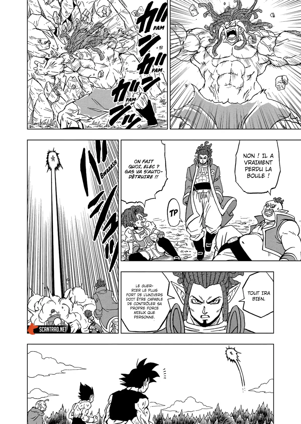 Dragon Ball Super Chapitre 80 page 35