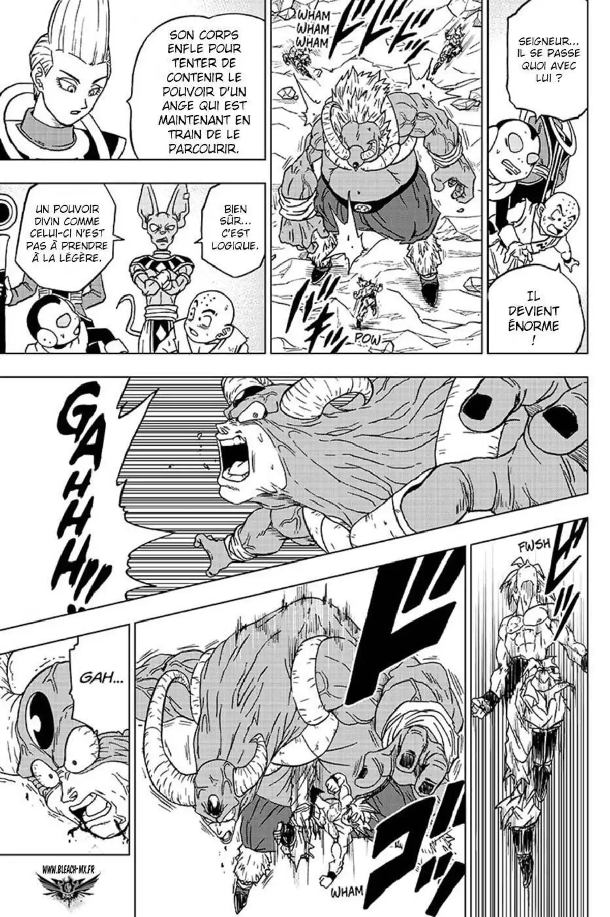 Dragon Ball Super Chapitre 65 page 36