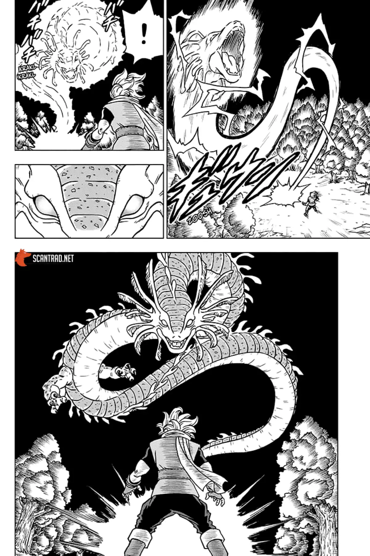 Dragon Ball Super Chapitre 69 page 45