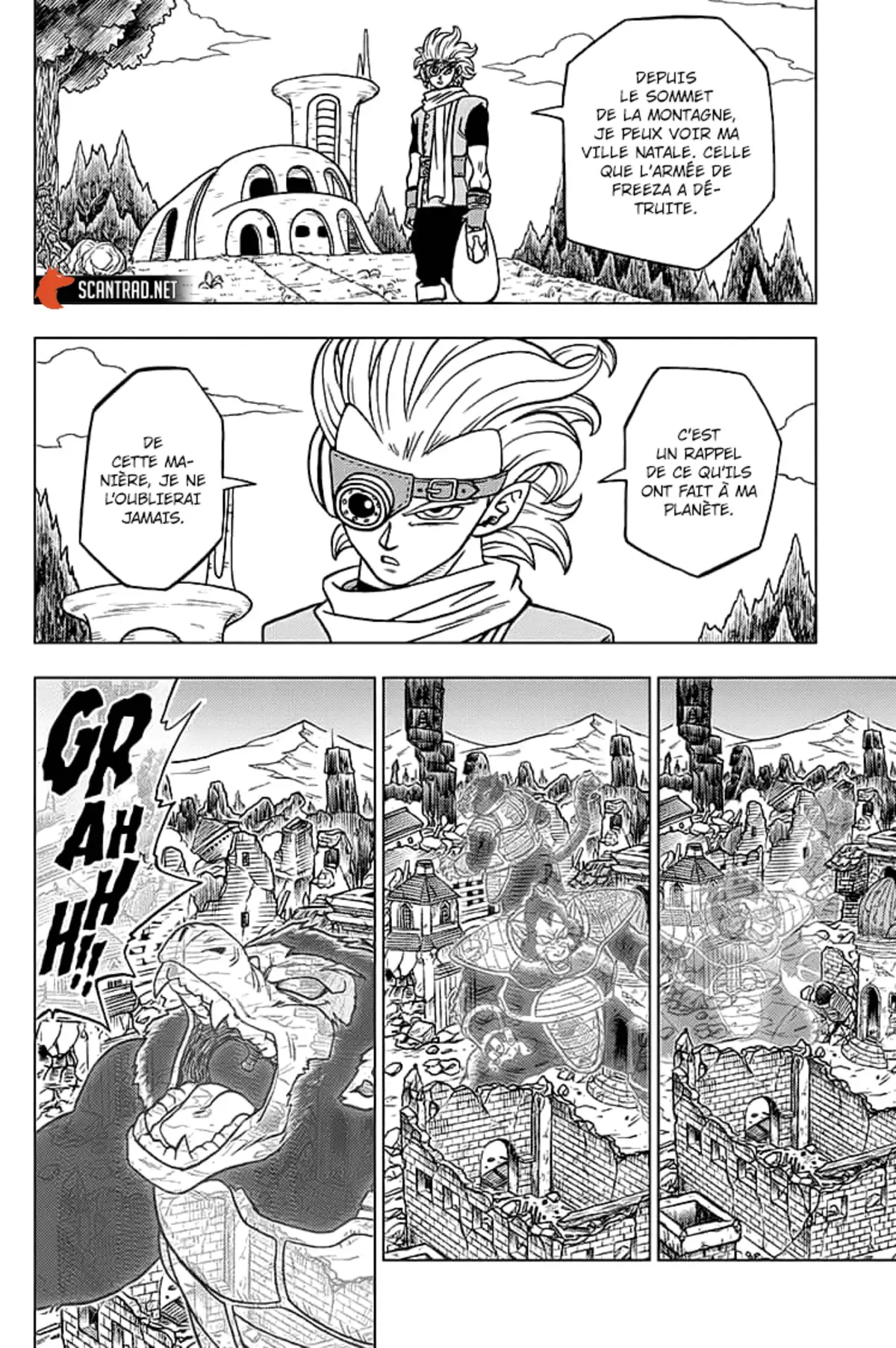 Dragon Ball Super Chapitre 69 page 9