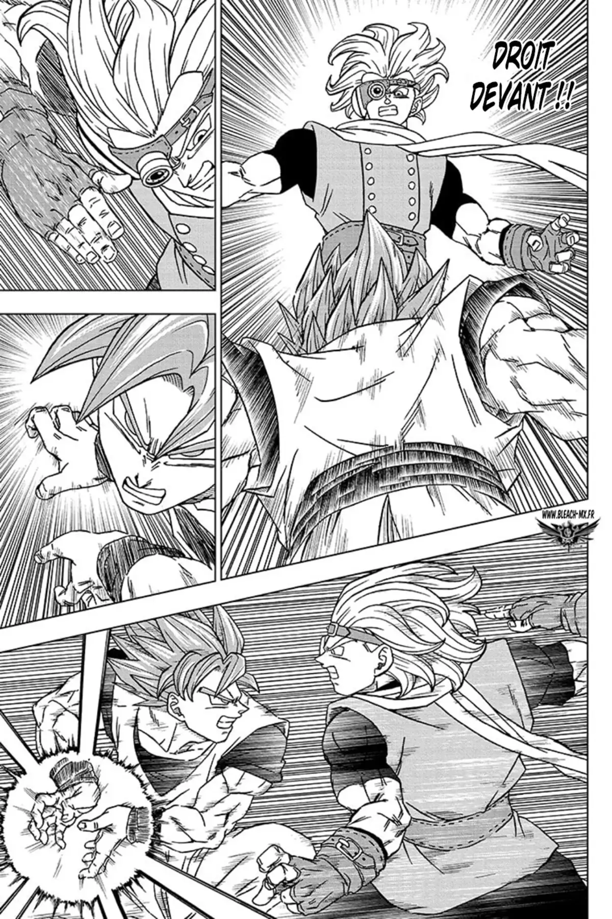 Dragon Ball Super Chapitre 73 page 15