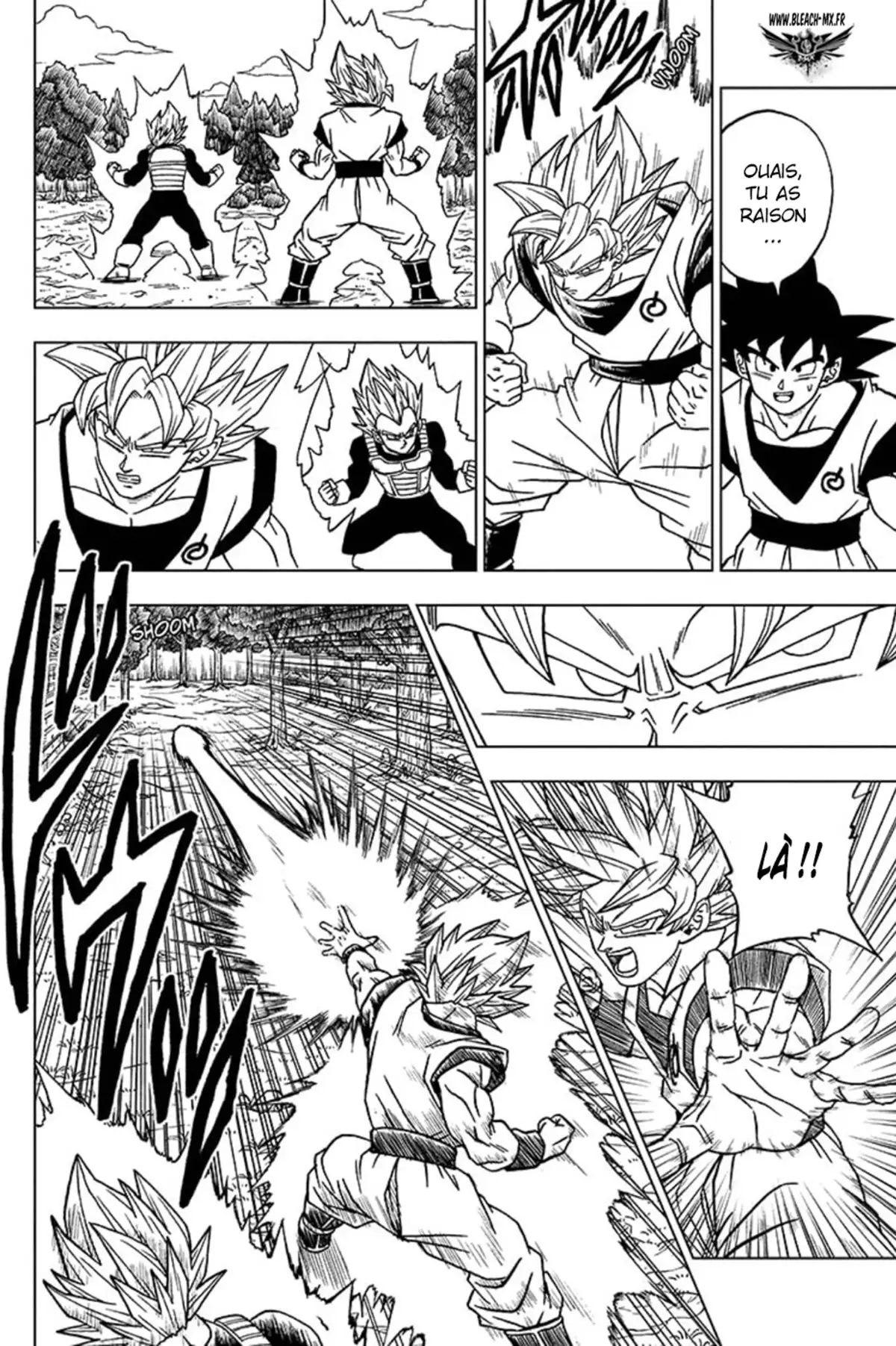 Dragon Ball Super Chapitre 72 page 16