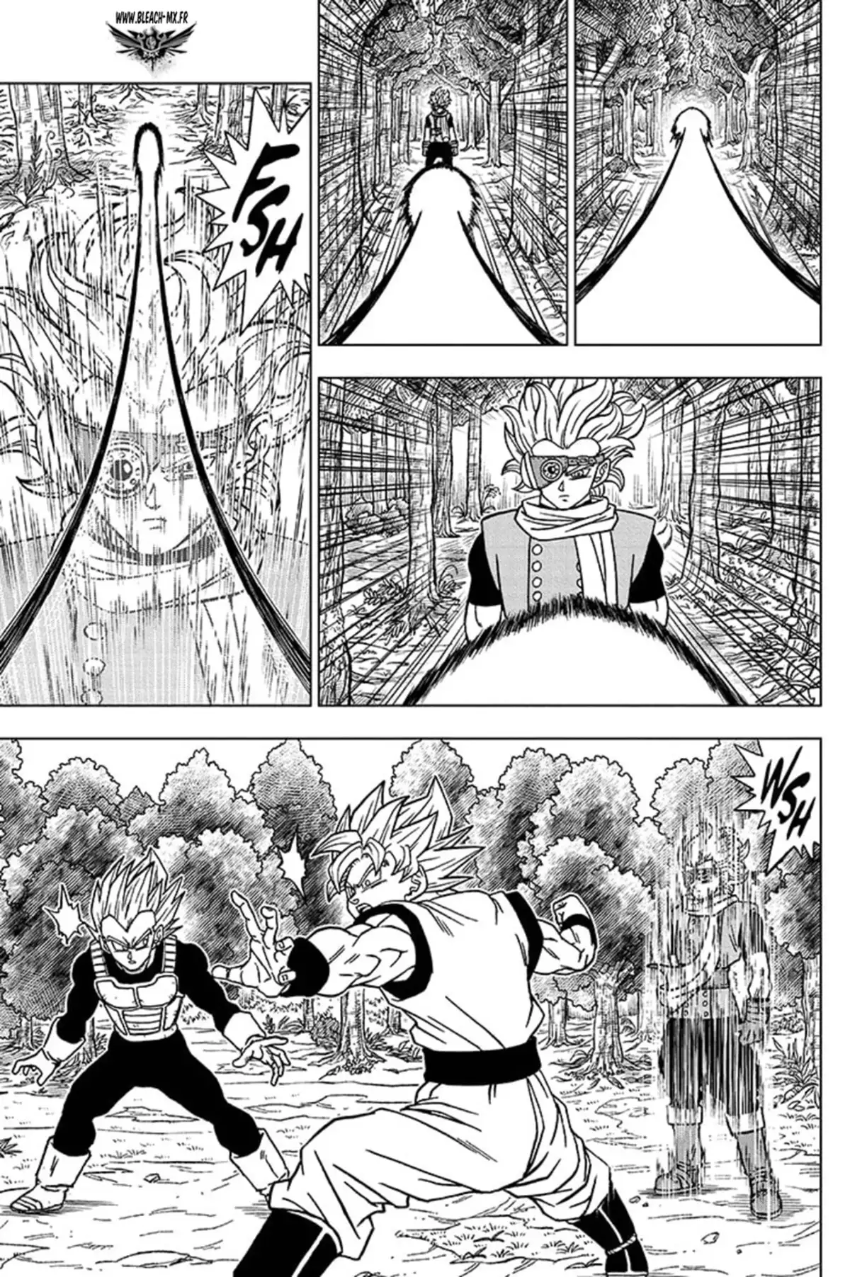 Dragon Ball Super Chapitre 72 page 17