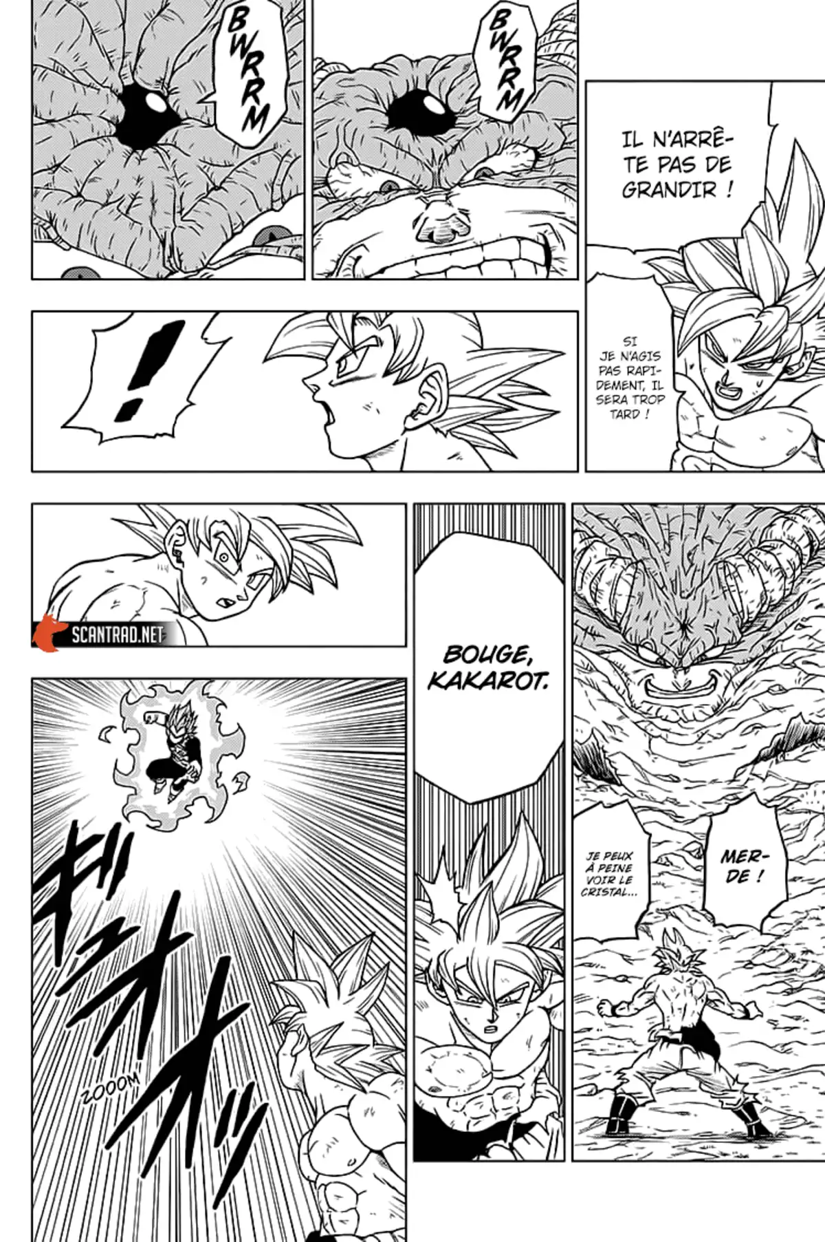 Dragon Ball Super Chapitre 66 page 11