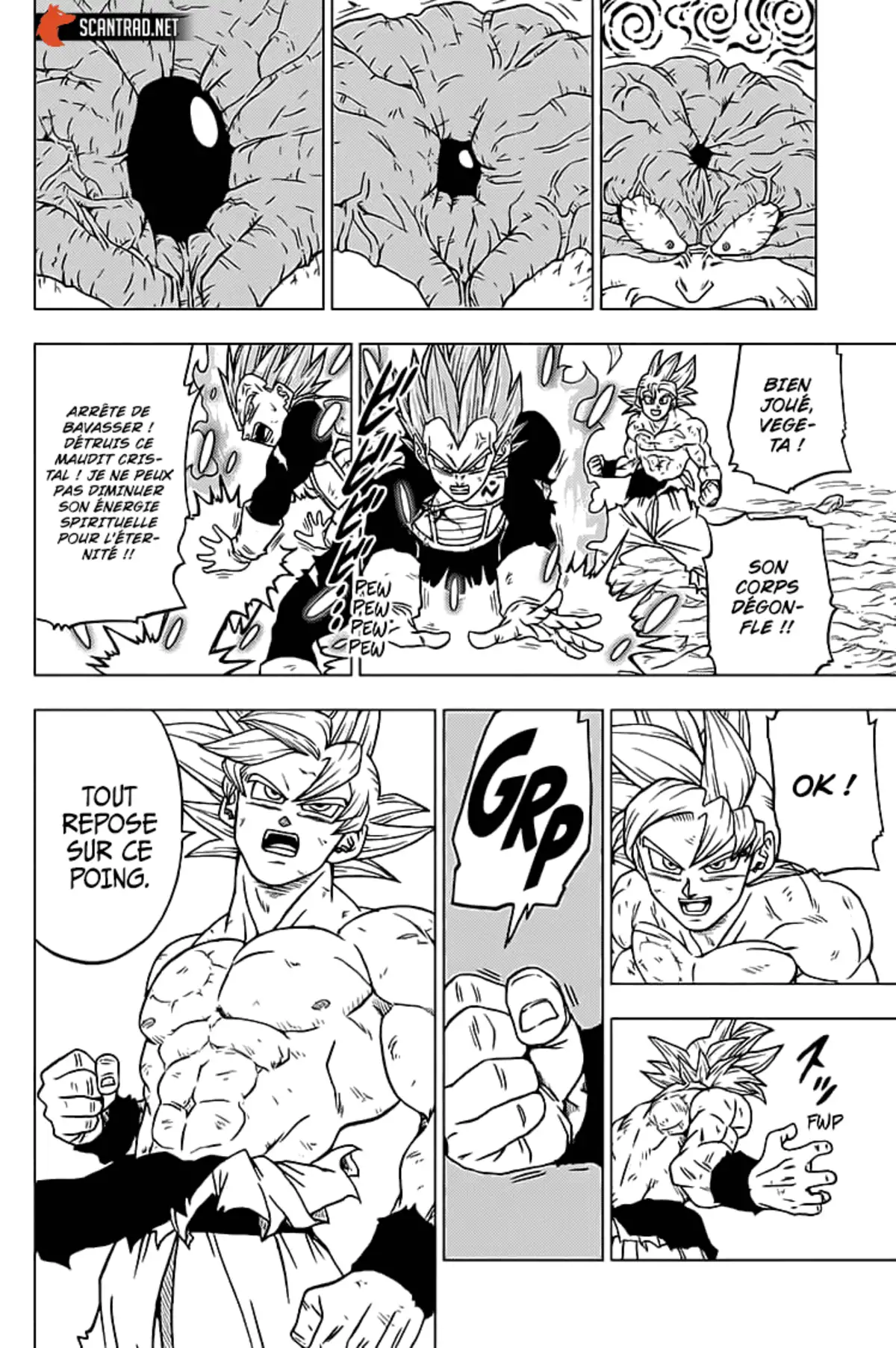 Dragon Ball Super Chapitre 66 page 13