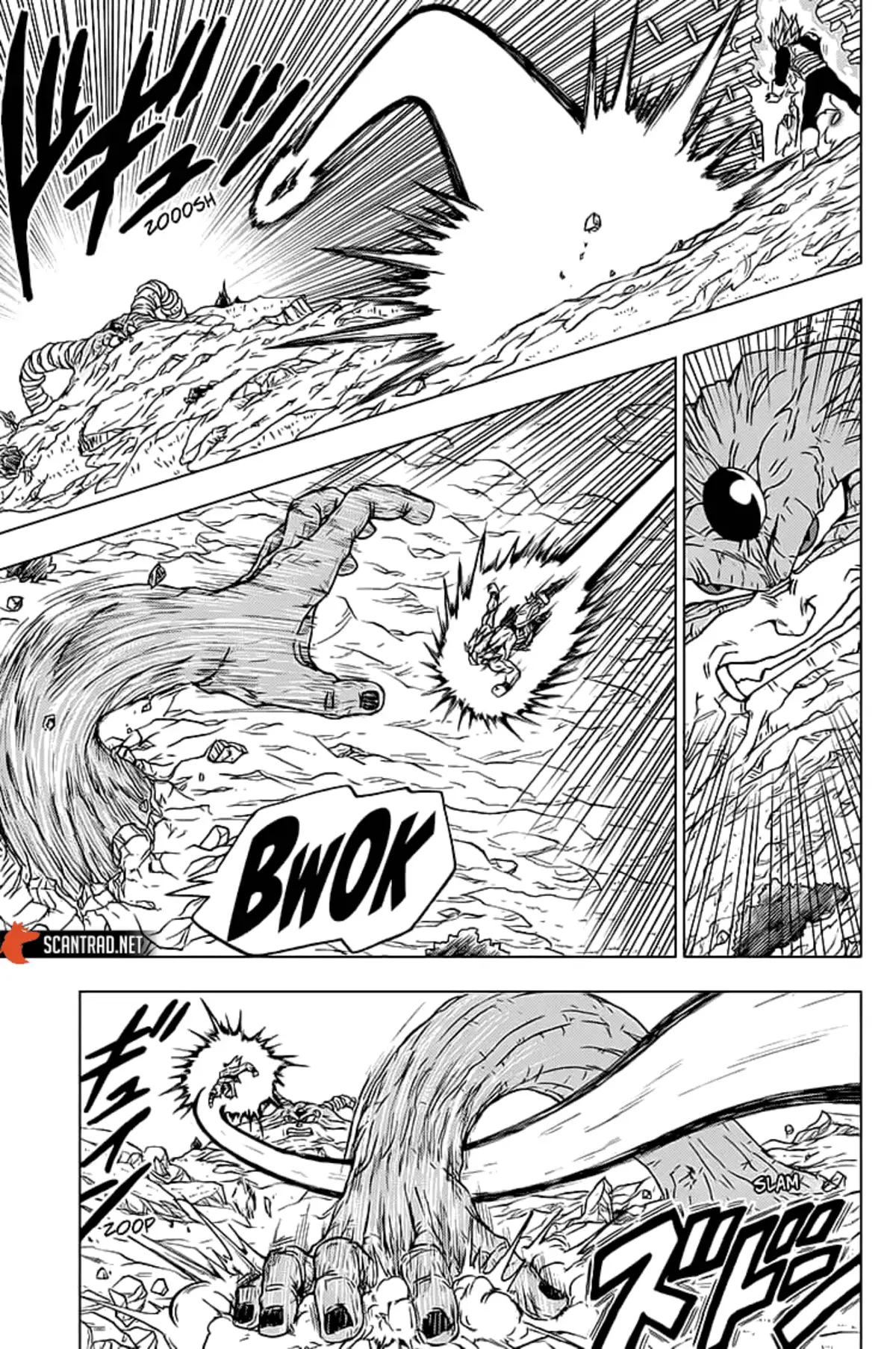 Dragon Ball Super Chapitre 66 page 14