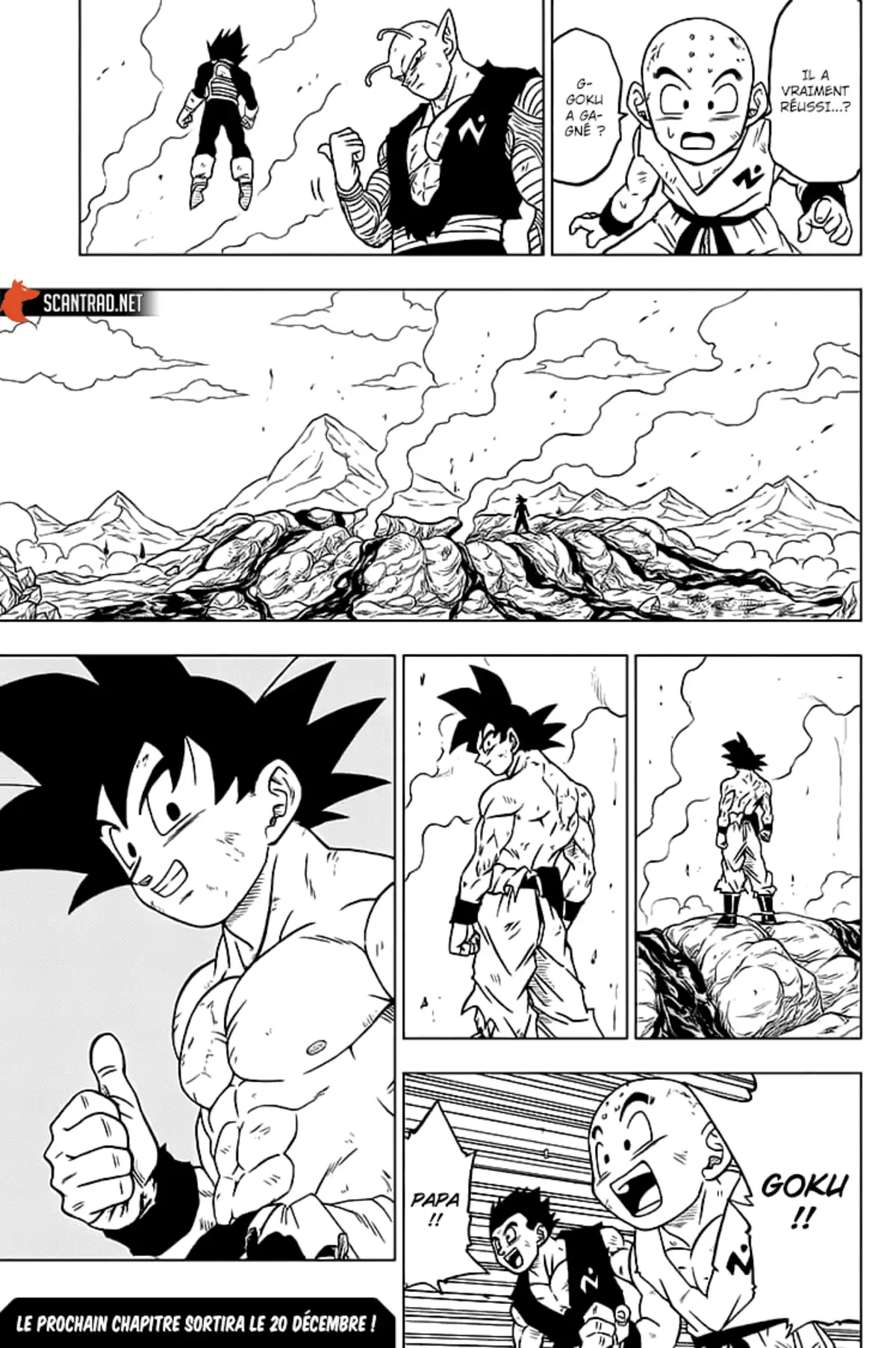 Dragon Ball Super Chapitre 66 page 43