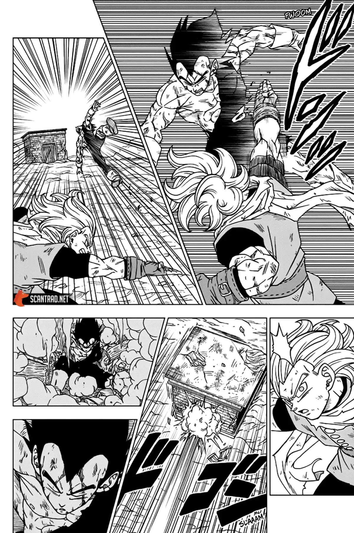 Dragon Ball Super Chapitre 76 page 12