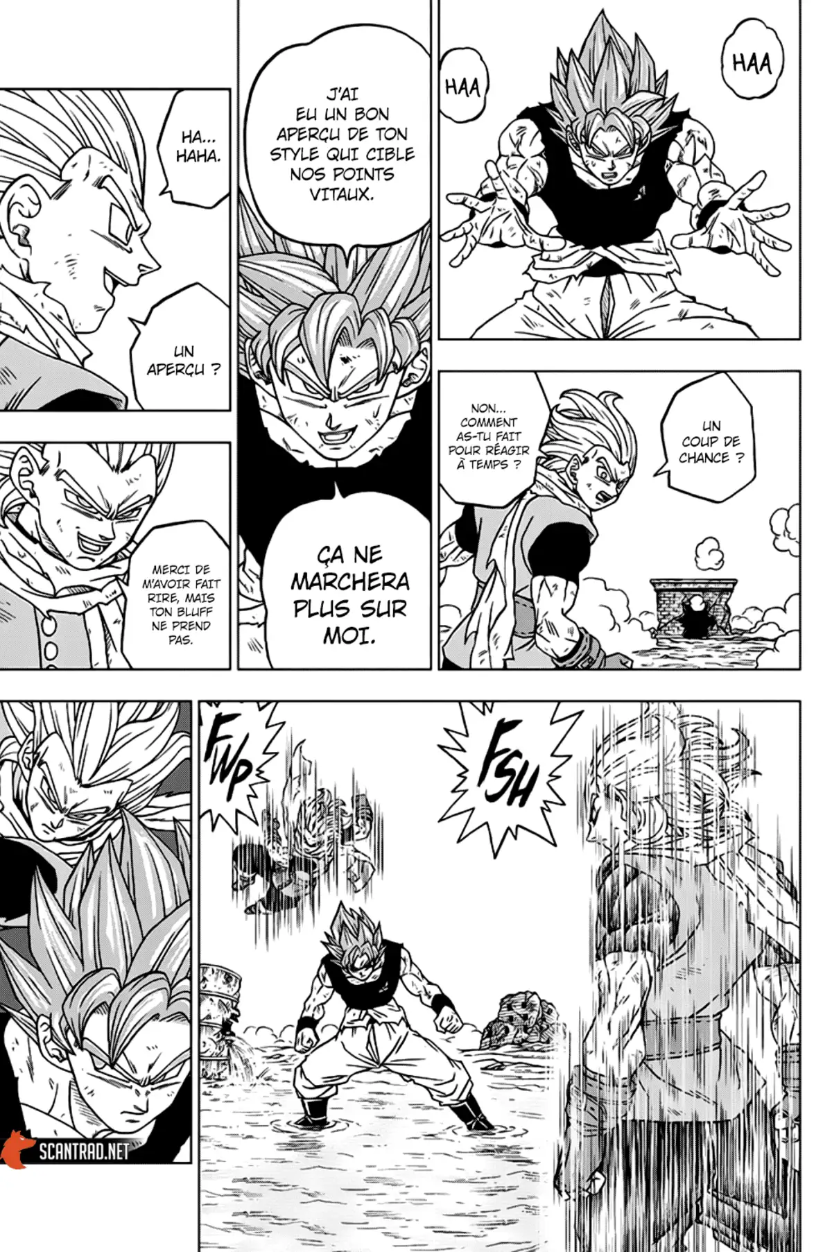Dragon Ball Super Chapitre 76 page 13