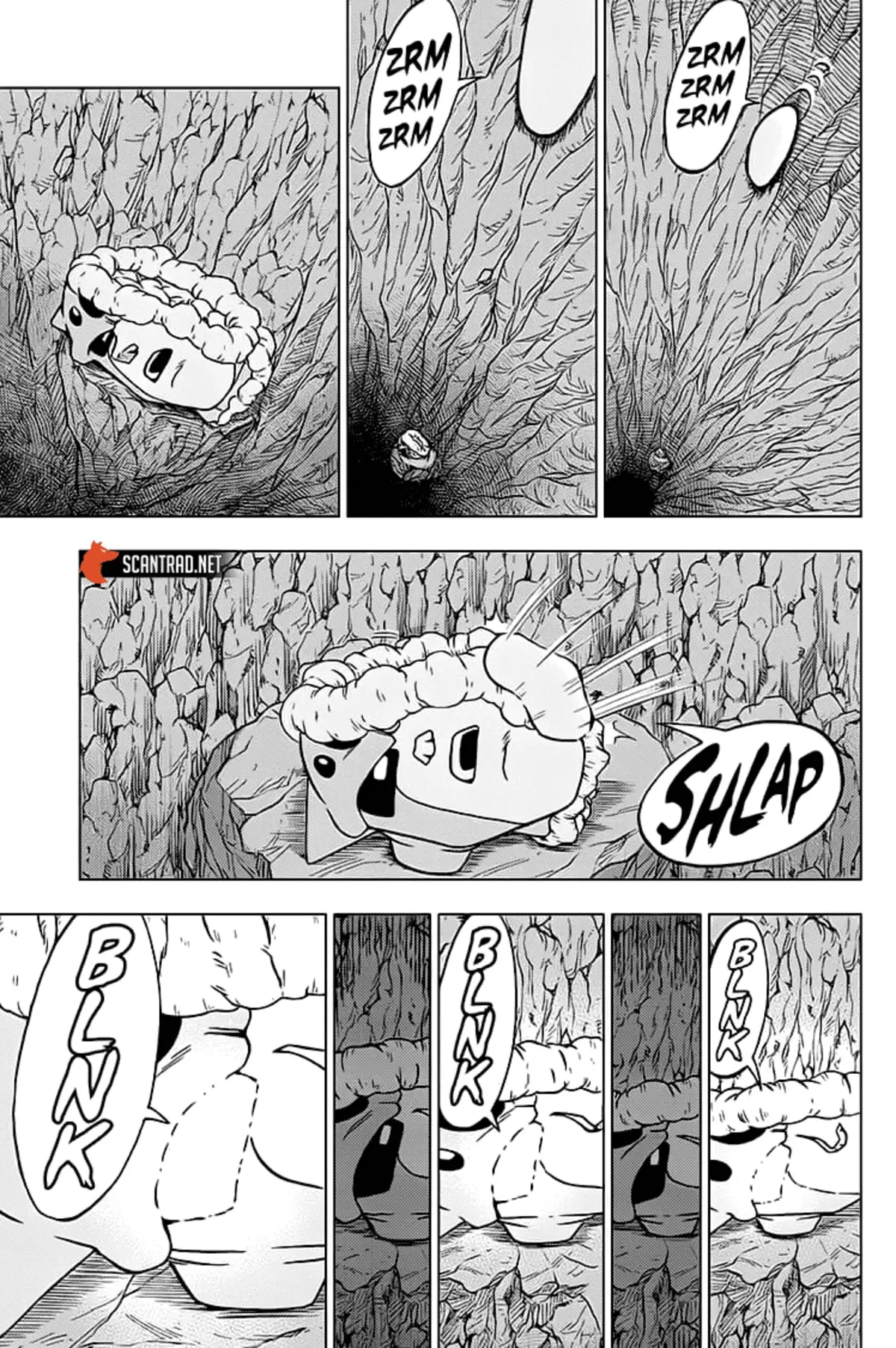 Dragon Ball Super Chapitre 67 page 29