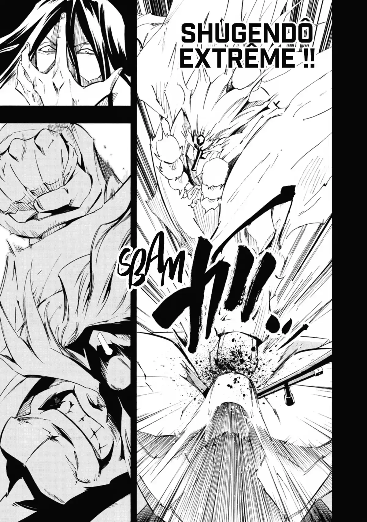 Shaman King Flowers Volume 2 page 71