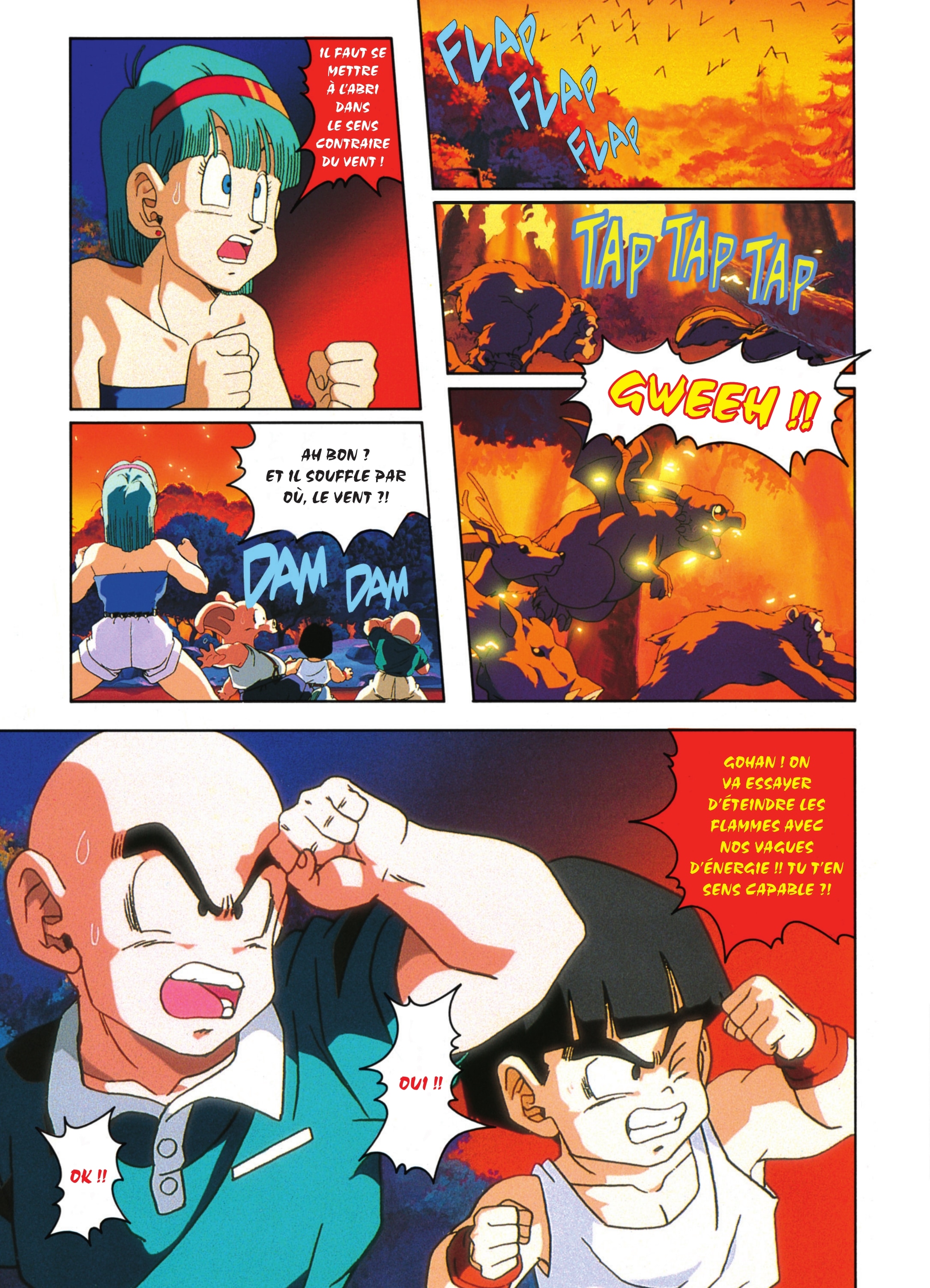 Dragon Ball Z – Les Films 3. Le combat fratricide page 14