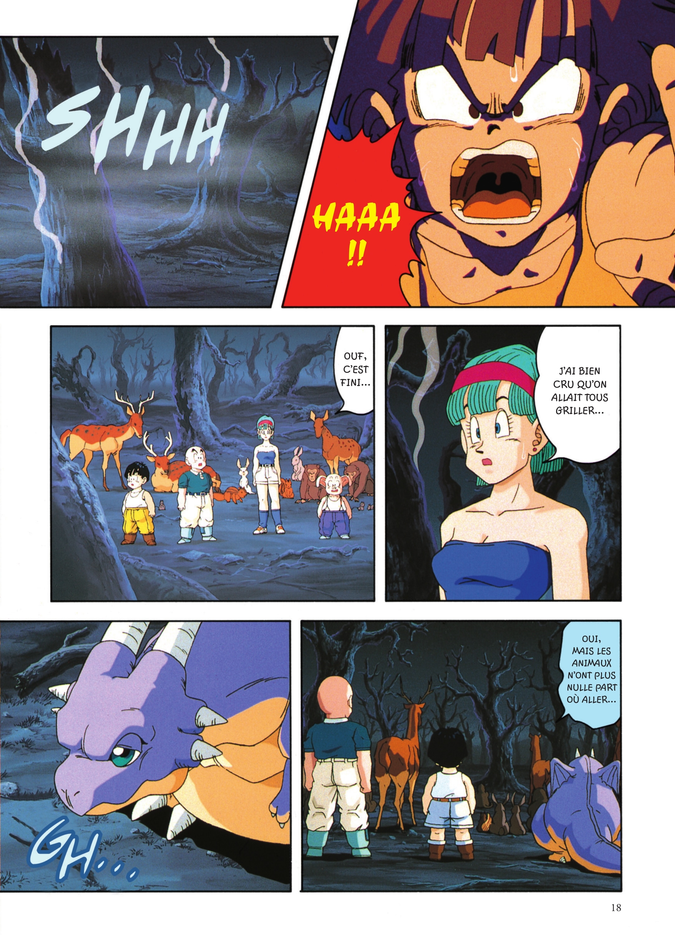 Dragon Ball Z – Les Films 3. Le combat fratricide page 19