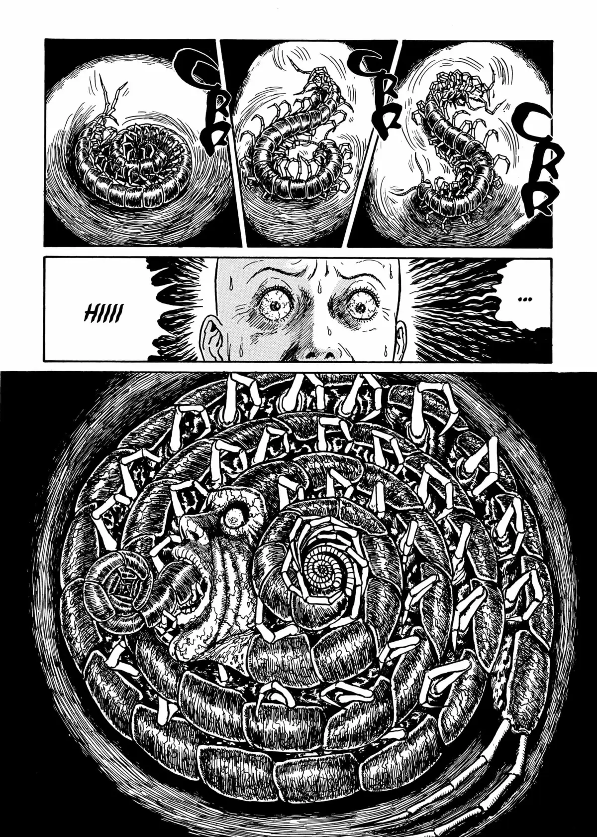 Spirale Integrale page 59