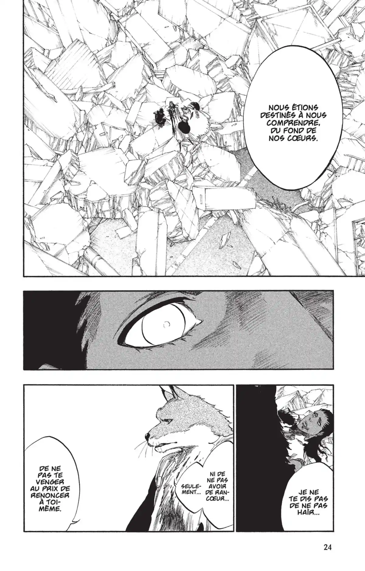 Bleach Volume 45 page 24