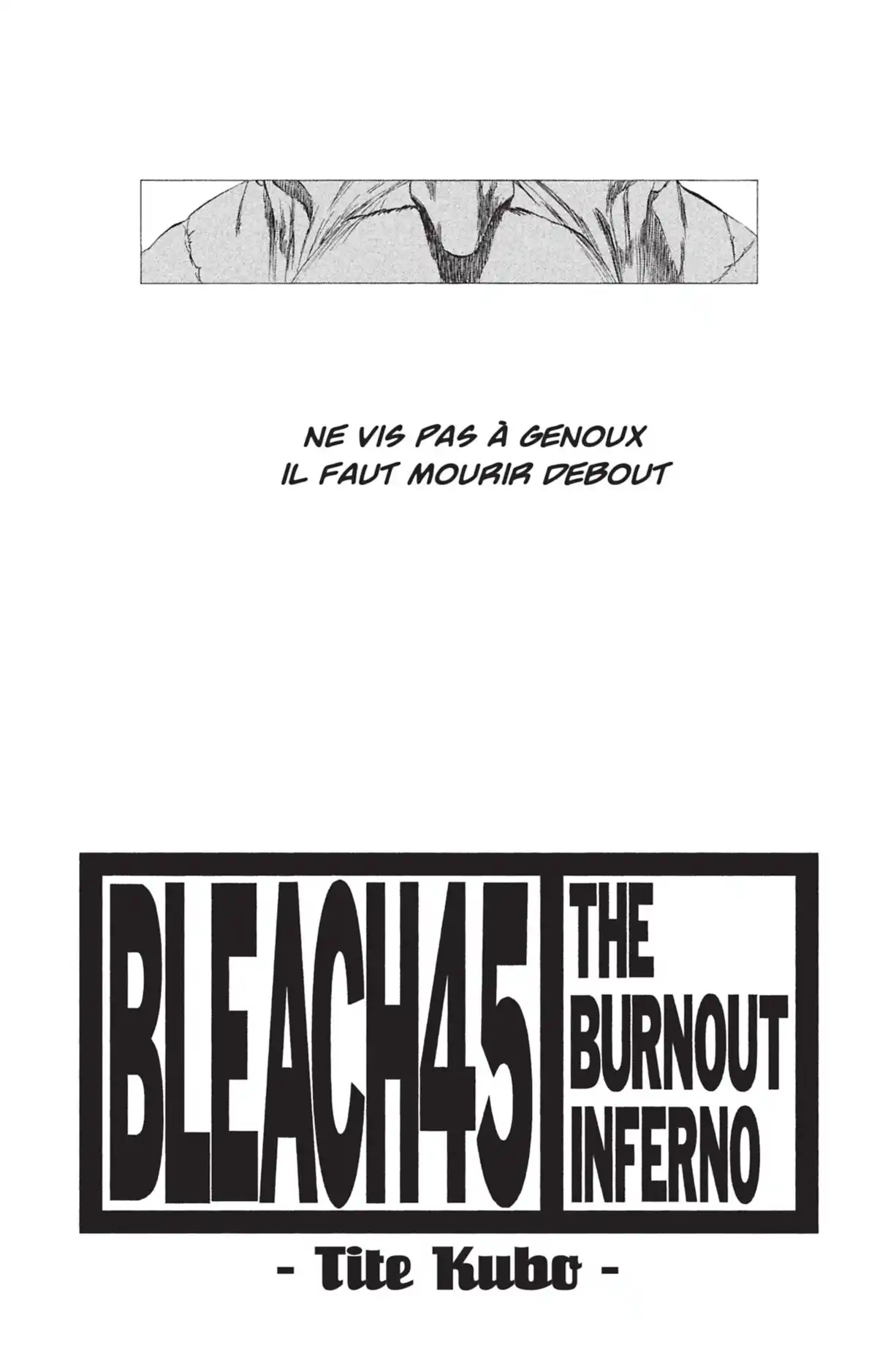 Bleach Volume 45 page 3