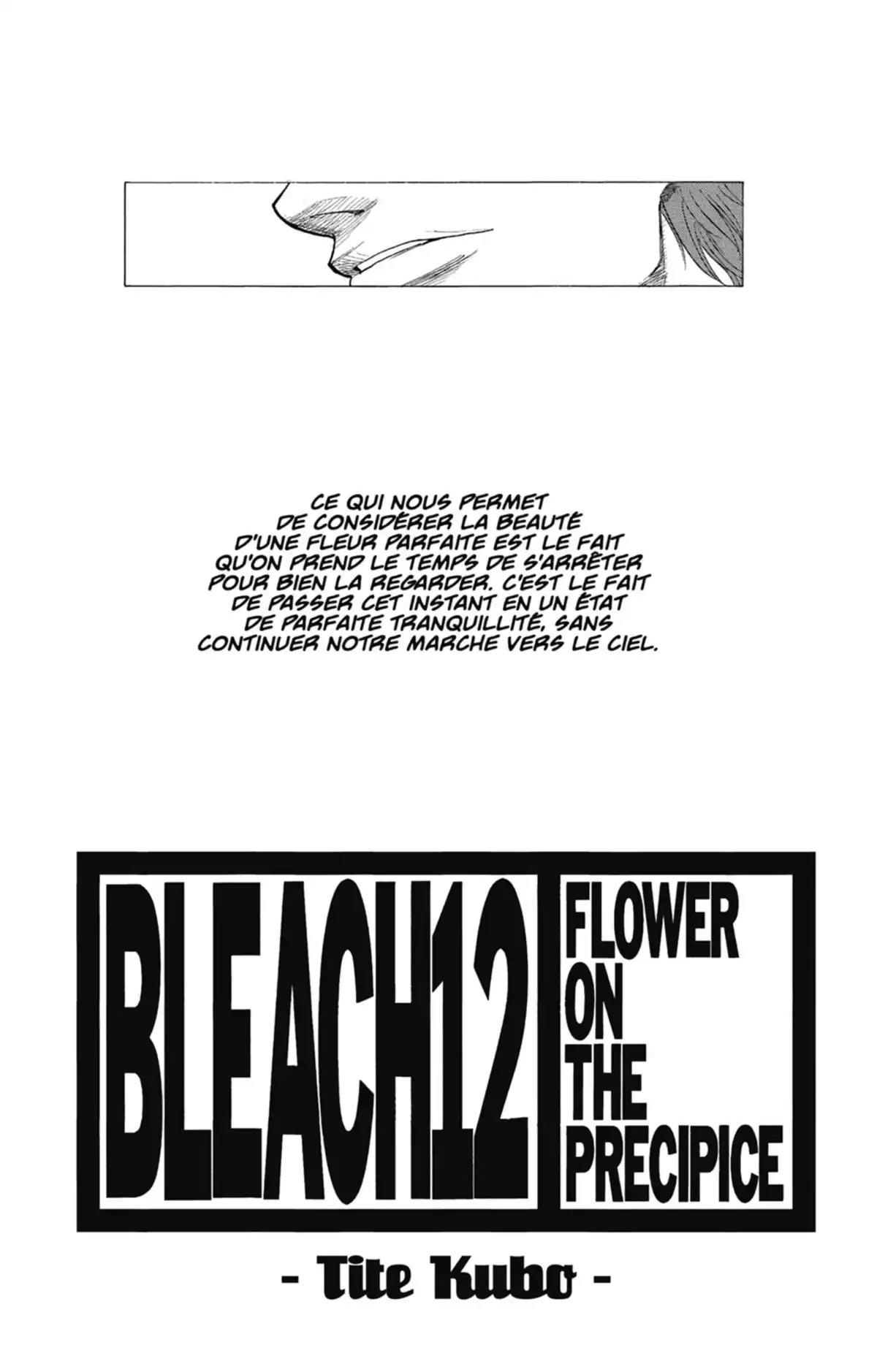 Bleach Volume 12 page 2