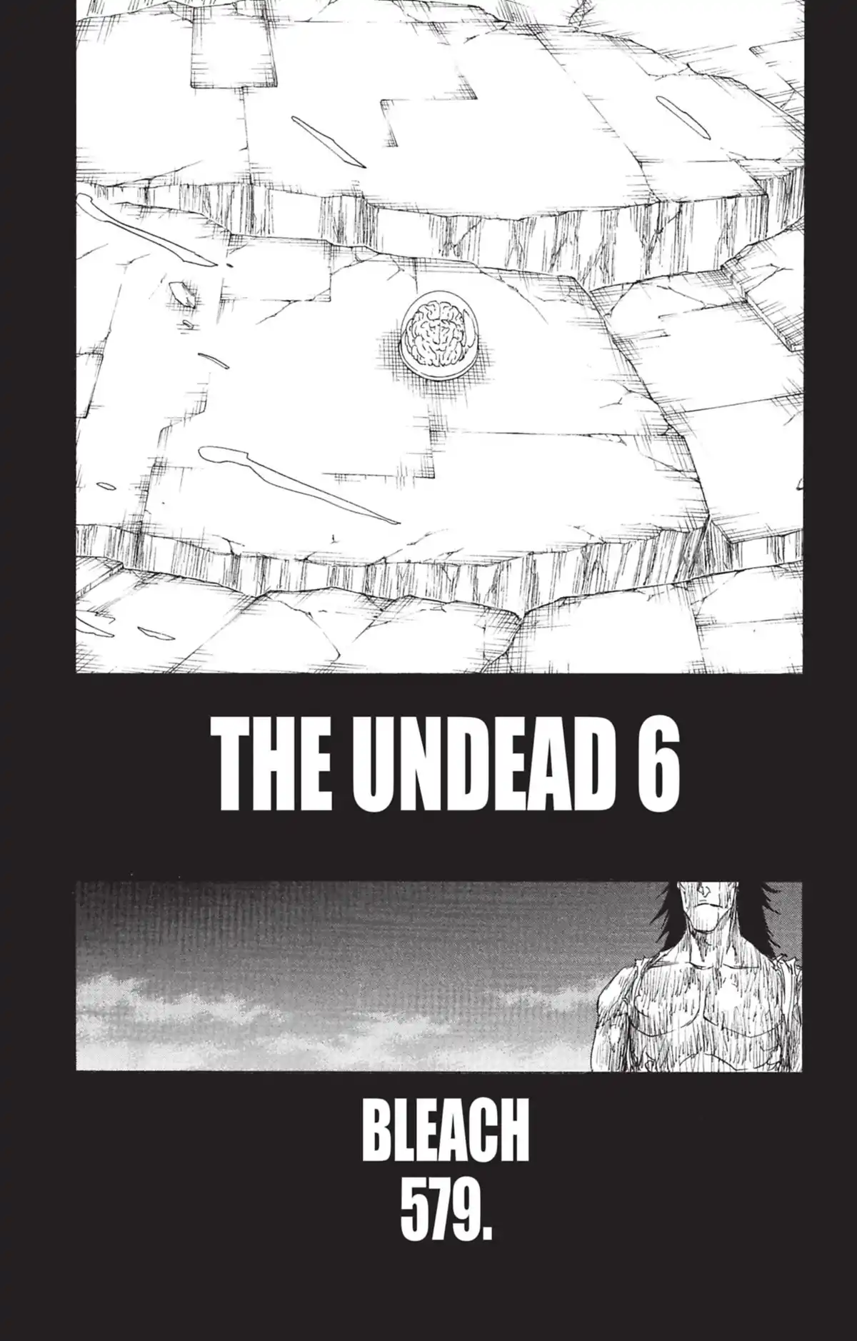 Bleach Volume 64 page 163
