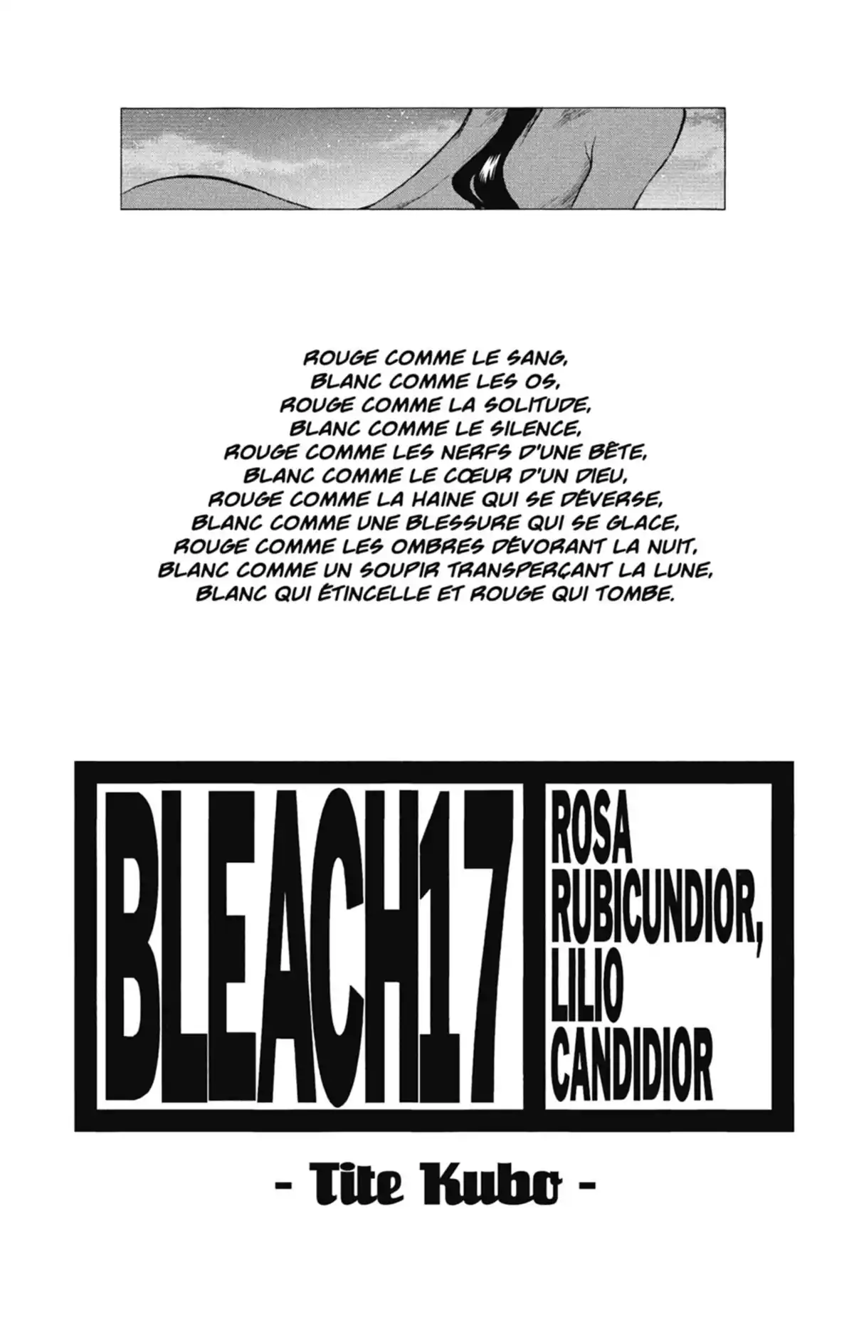 Bleach Volume 17 page 2