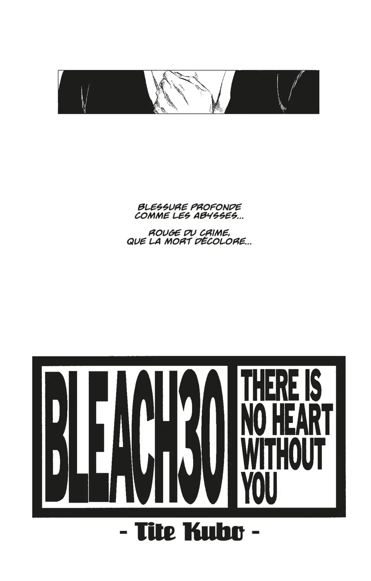 Bleach Volume 30 page 3