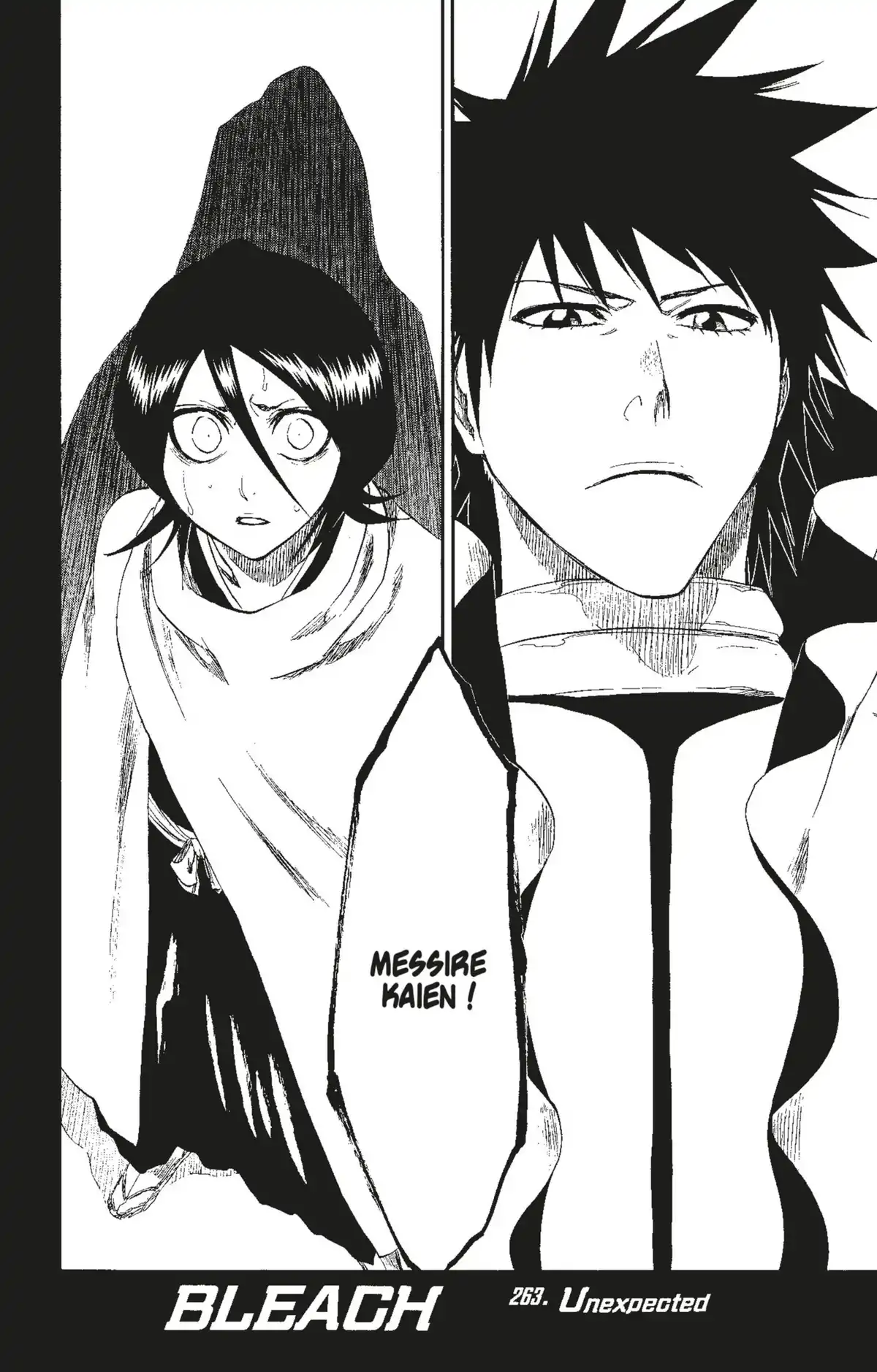 Bleach Volume 30 page 48