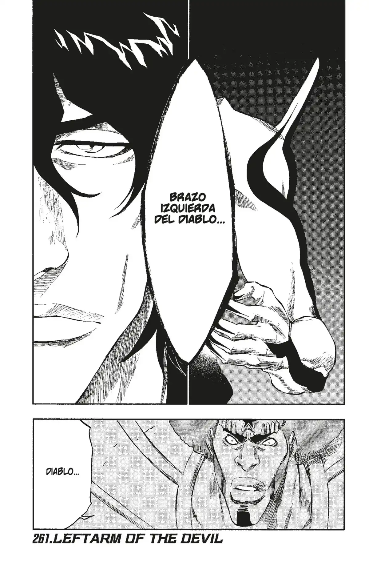 Bleach Volume 30 page 7