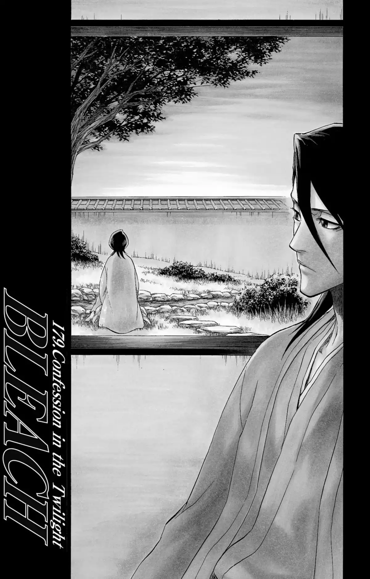 Bleach Volume 21 page 6