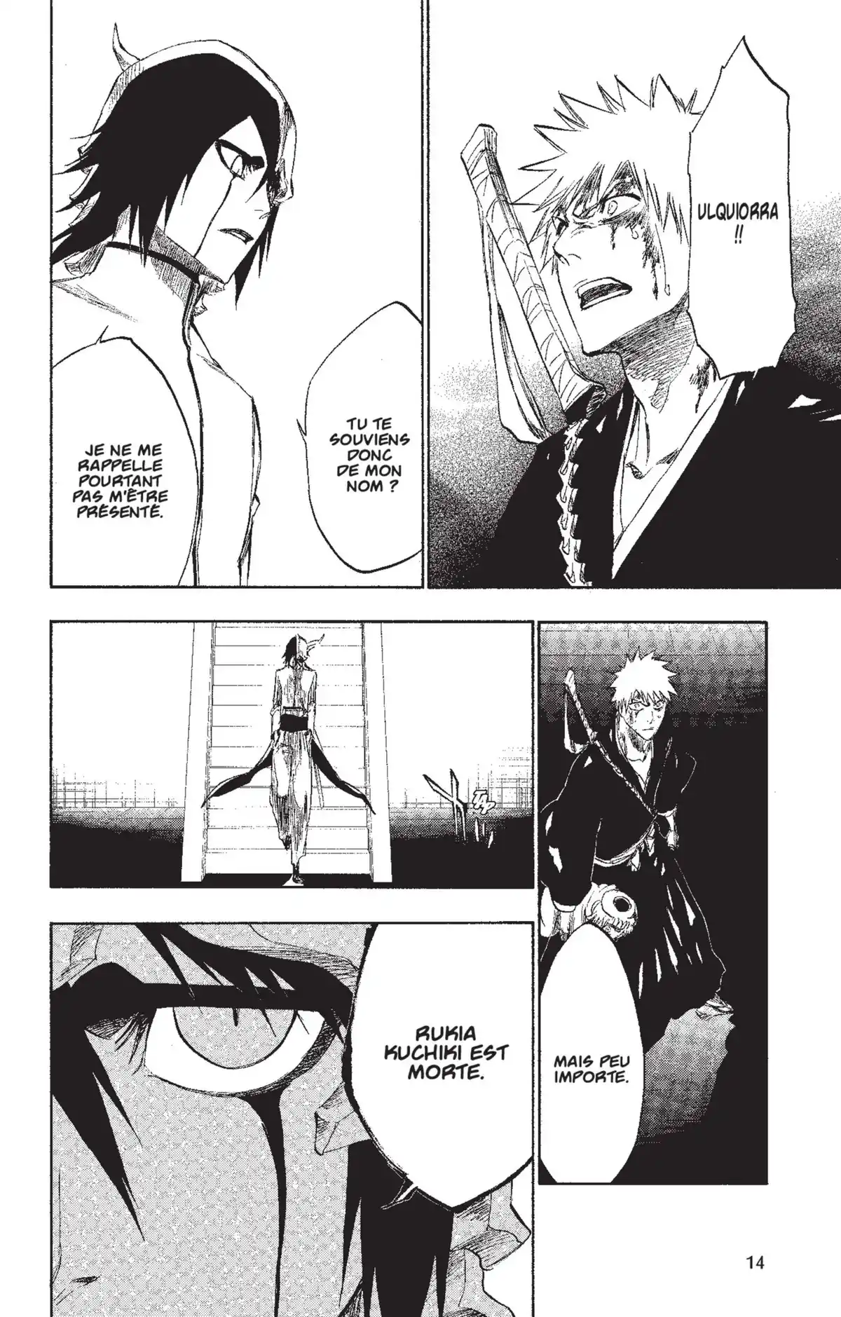 Bleach Volume 31 page 14