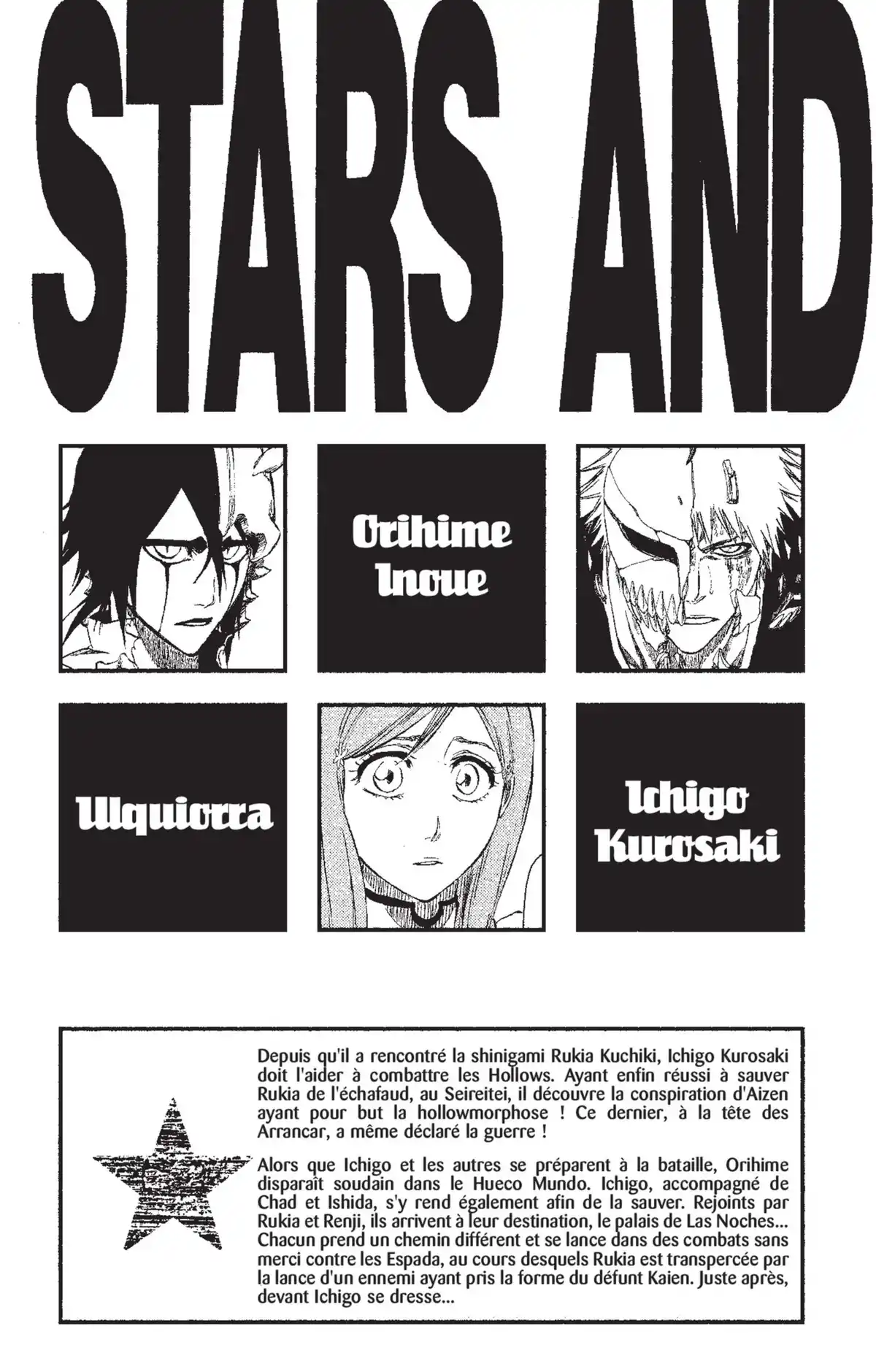 Bleach Volume 31 page 4