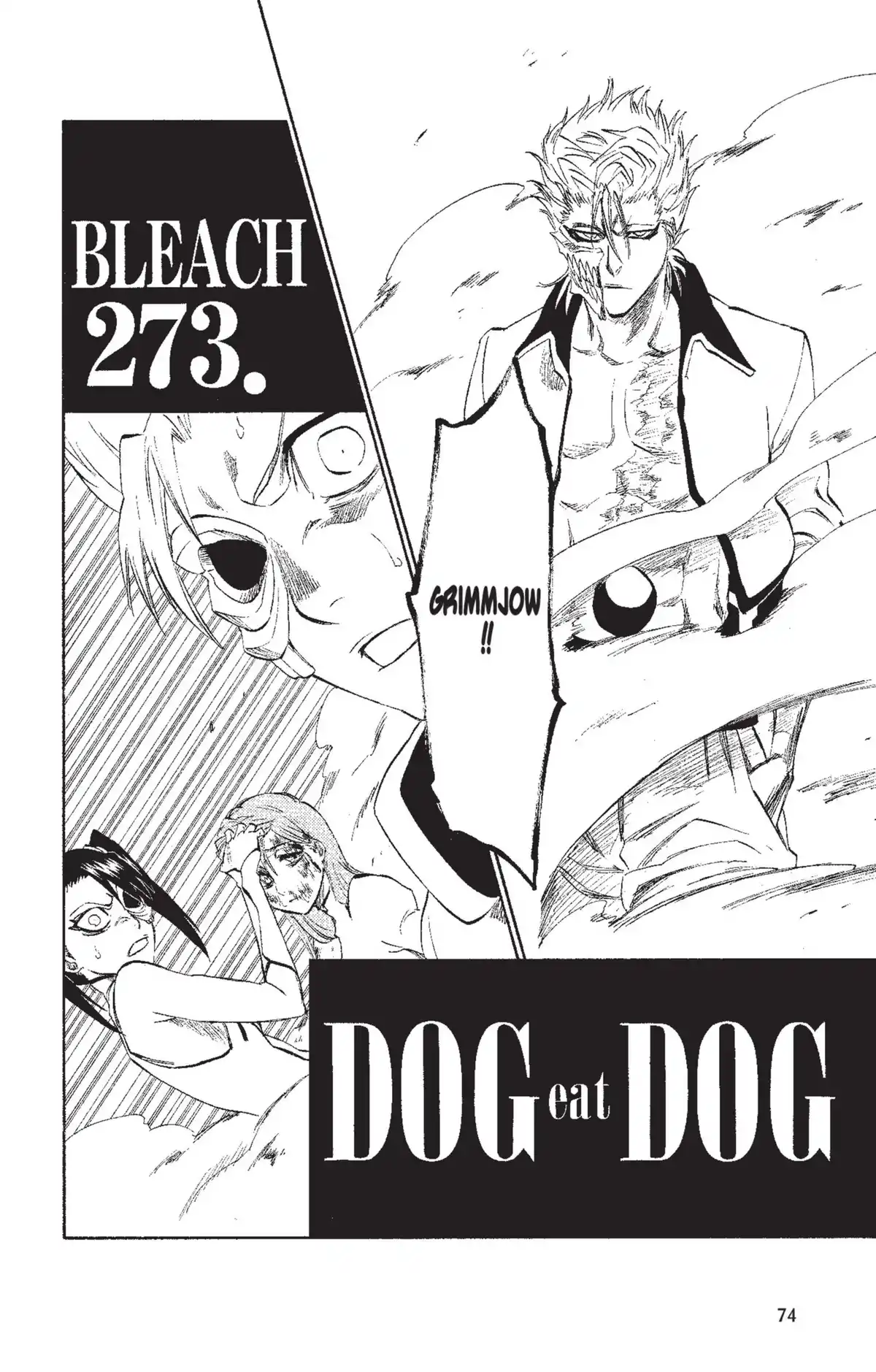 Bleach Volume 31 page 74