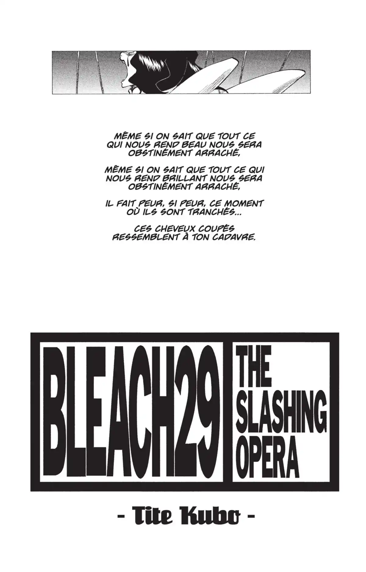 Bleach Volume 29 page 2