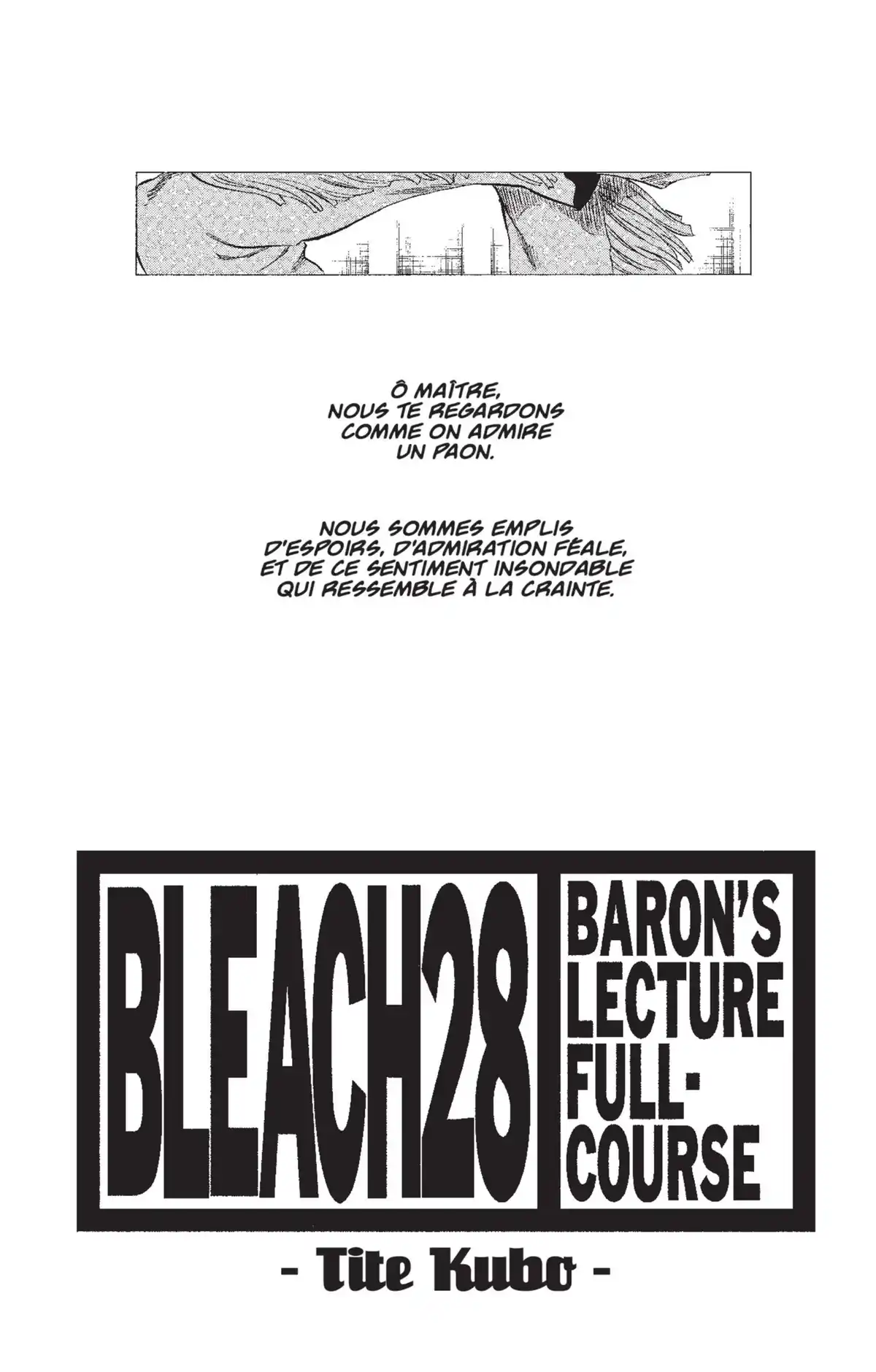 Bleach Volume 28 page 2