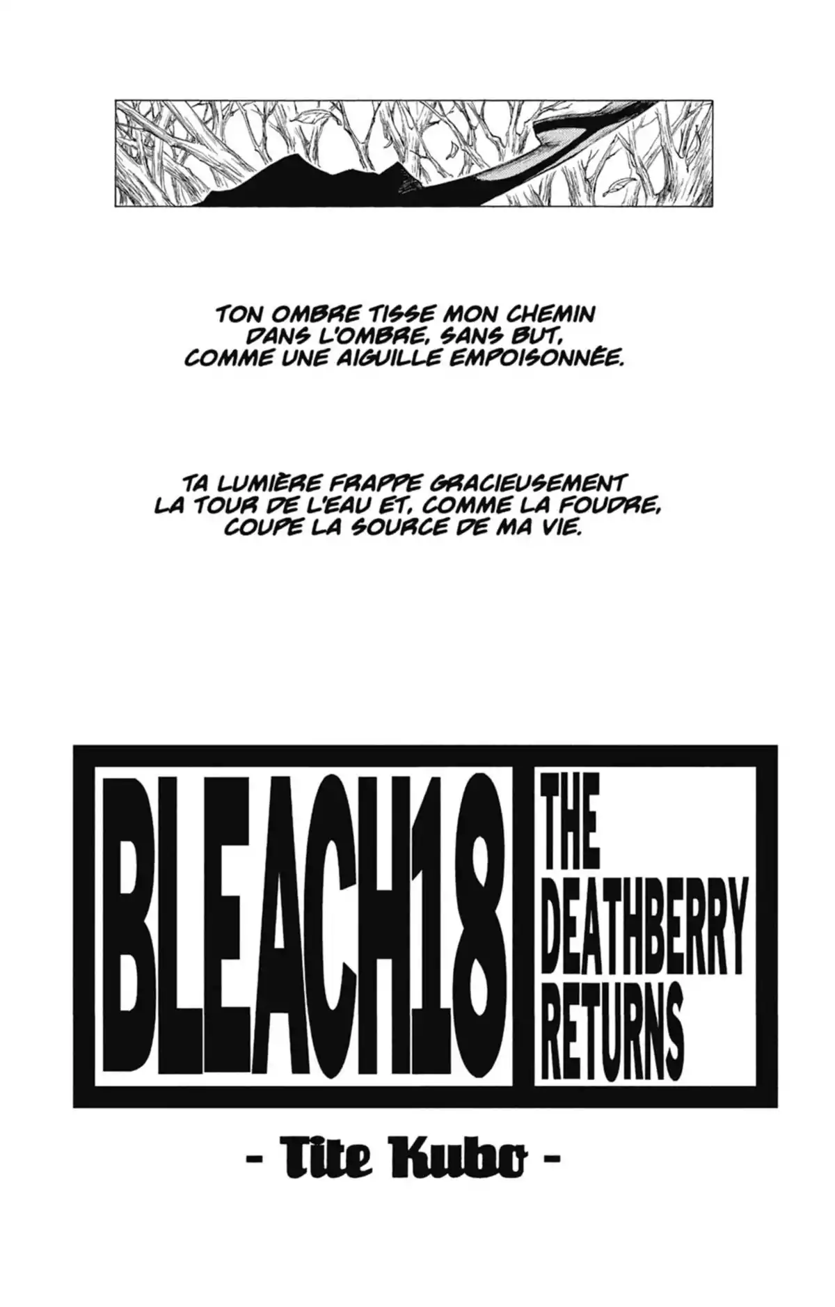 Bleach Volume 18 page 2
