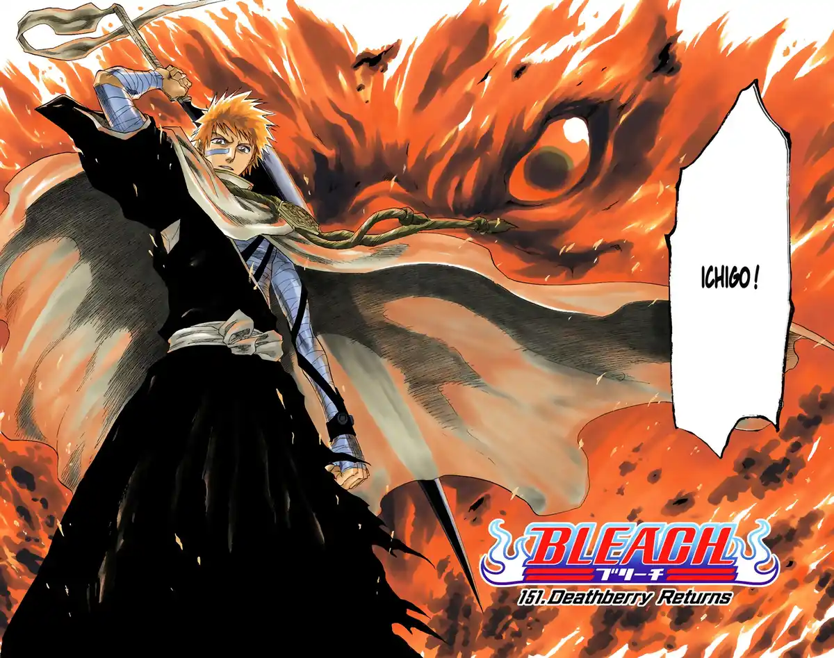 Bleach Volume 18 page 30