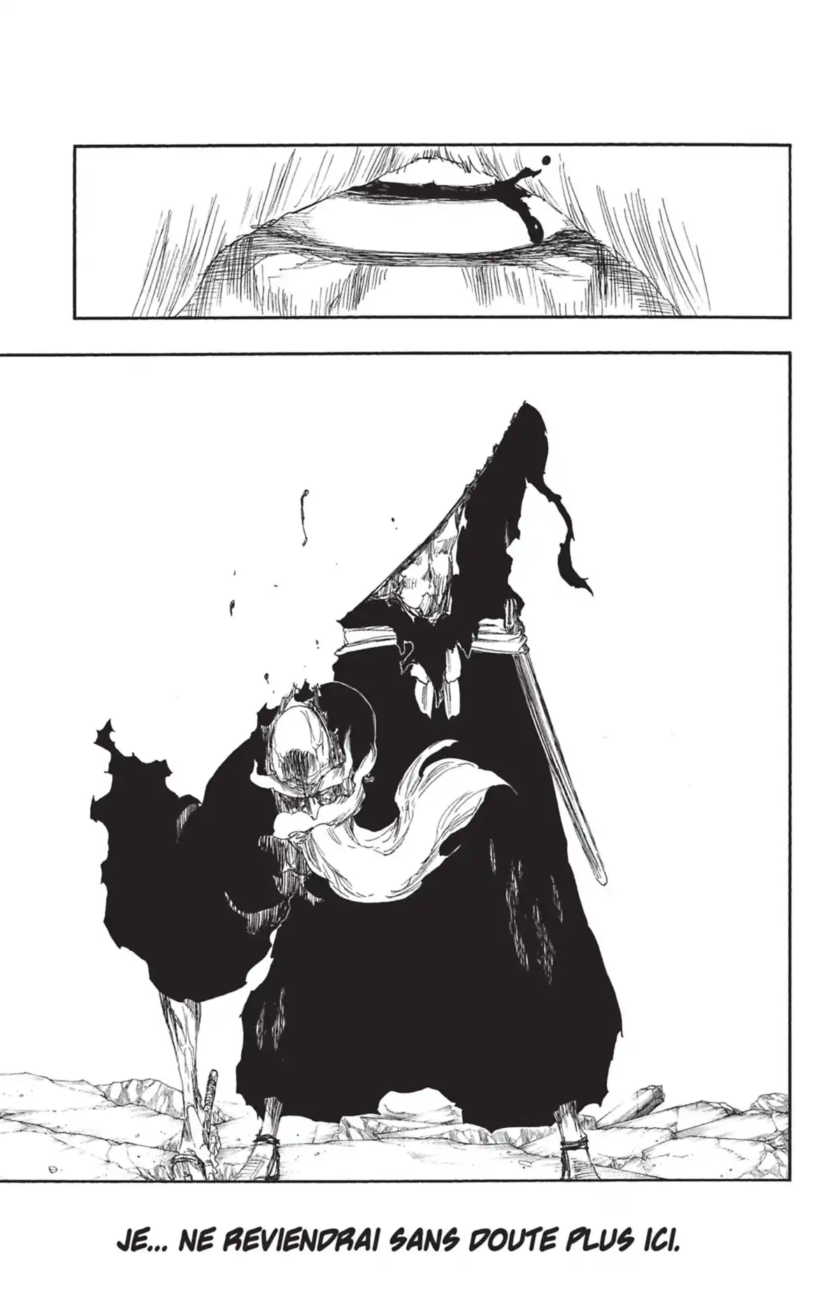 Bleach Volume 58 page 29