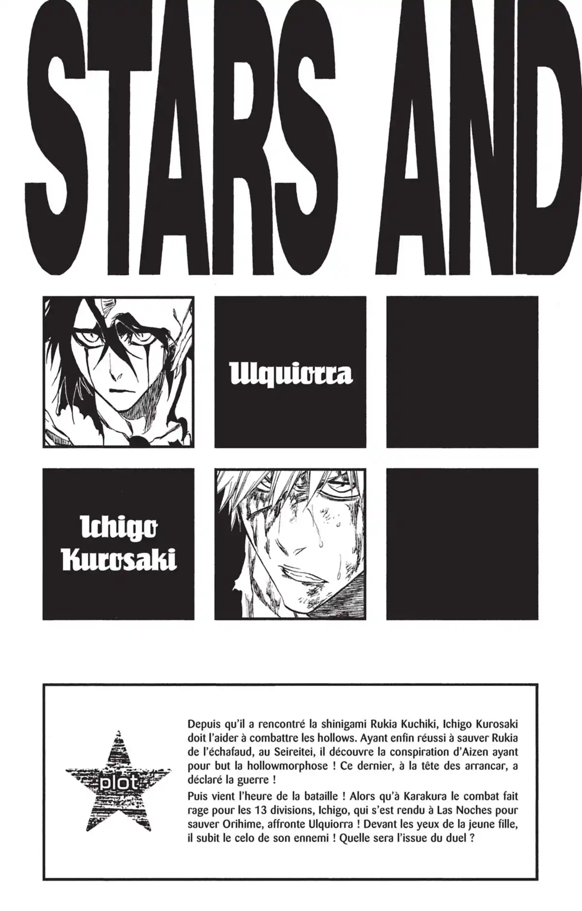 Bleach Volume 40 page 4