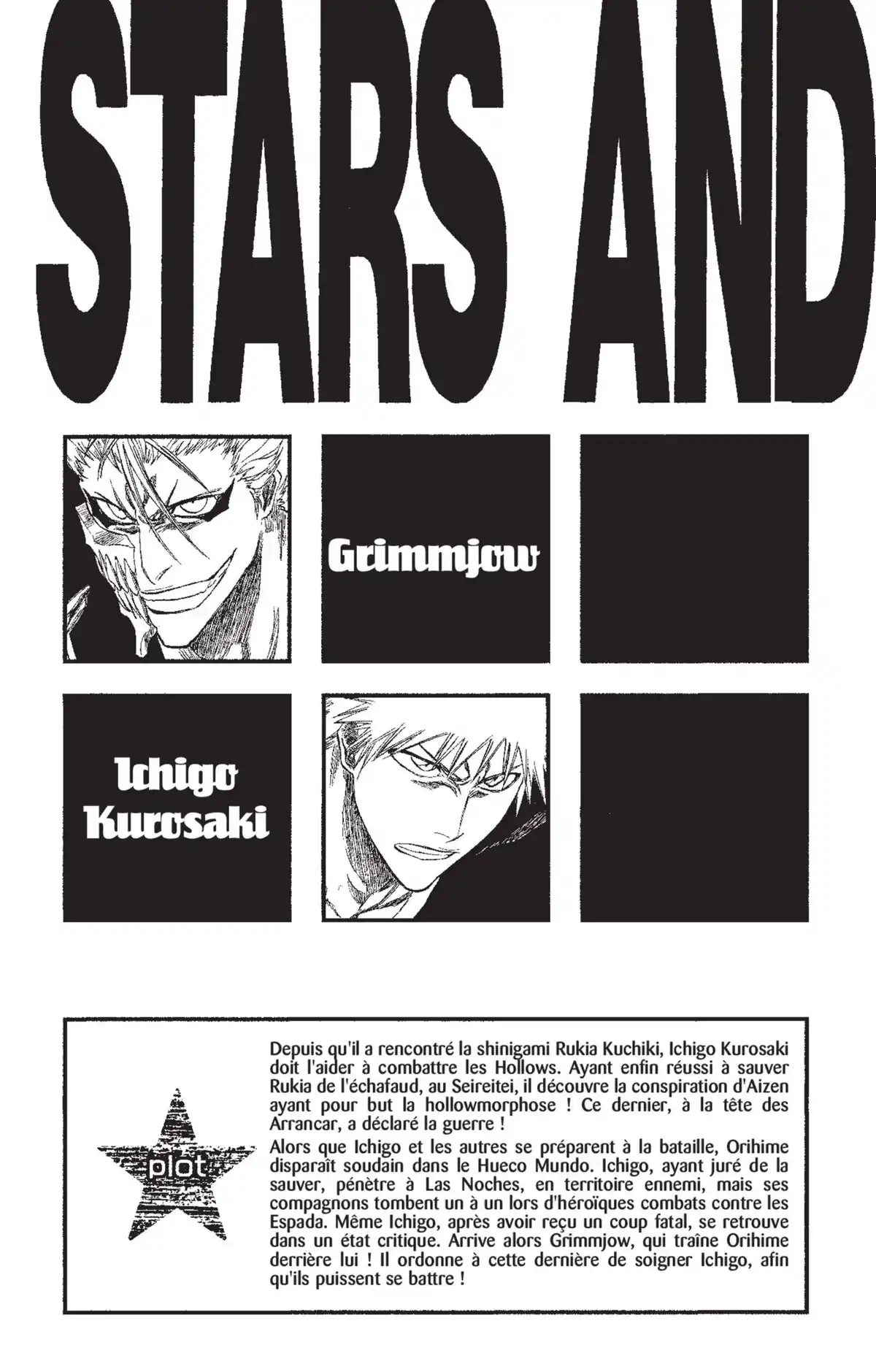 Bleach Volume 32 page 4