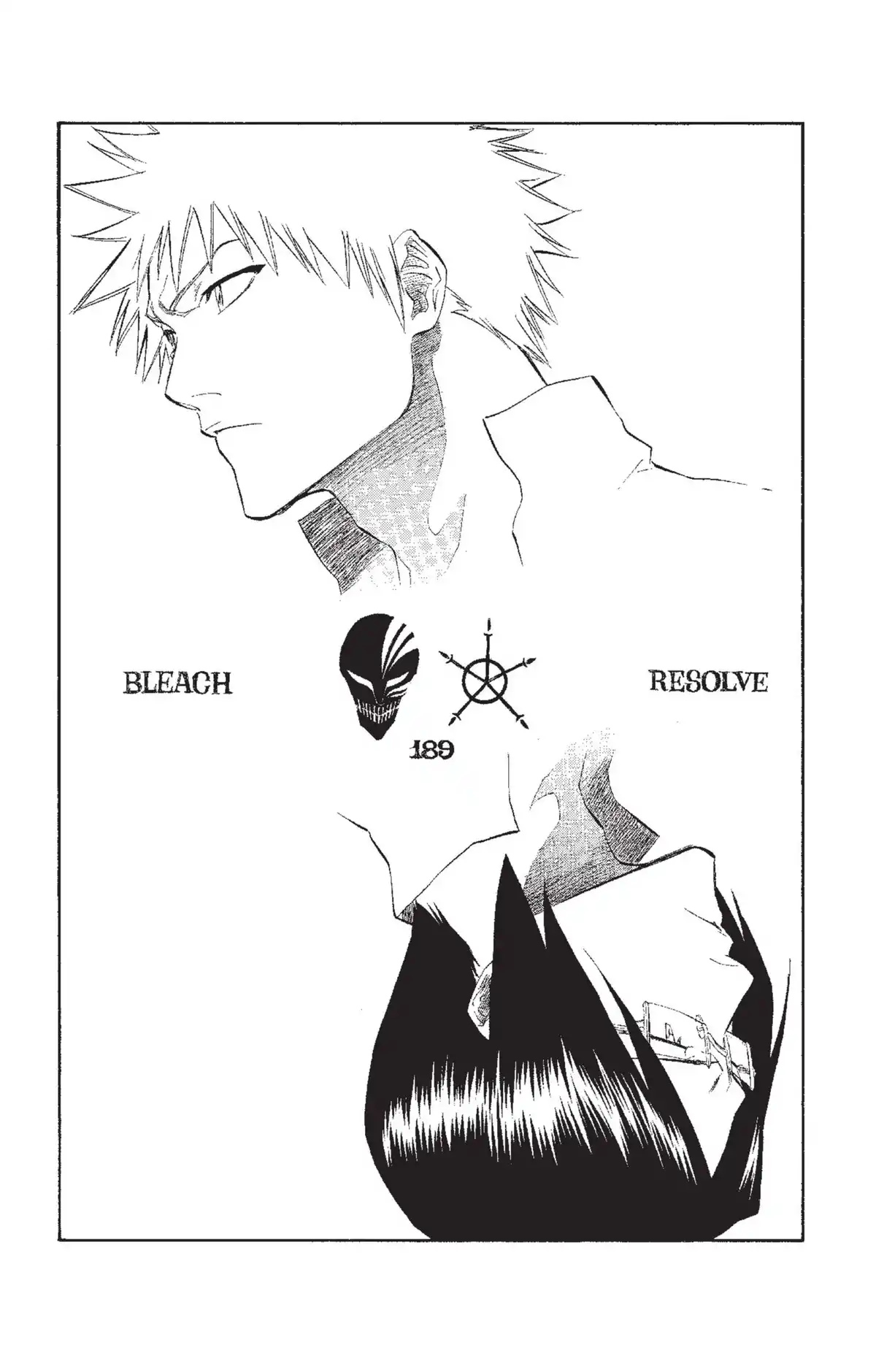 Bleach Volume 22 page 29