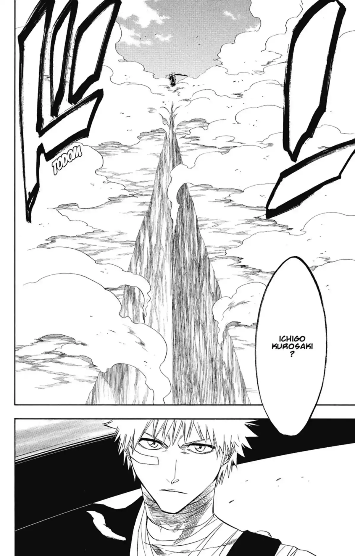 Bleach Volume 19 page 48