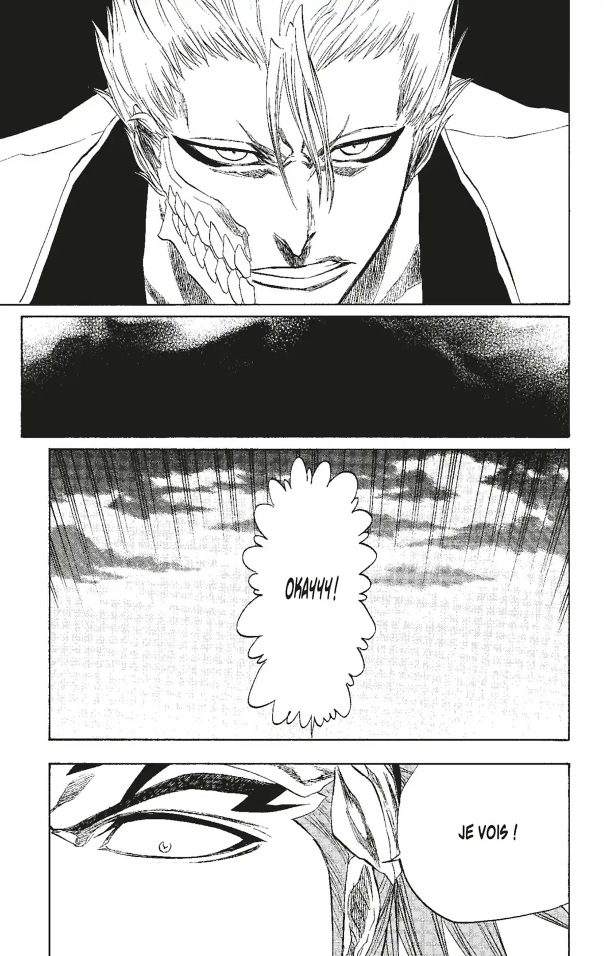 Bleach Volume 23 page 14