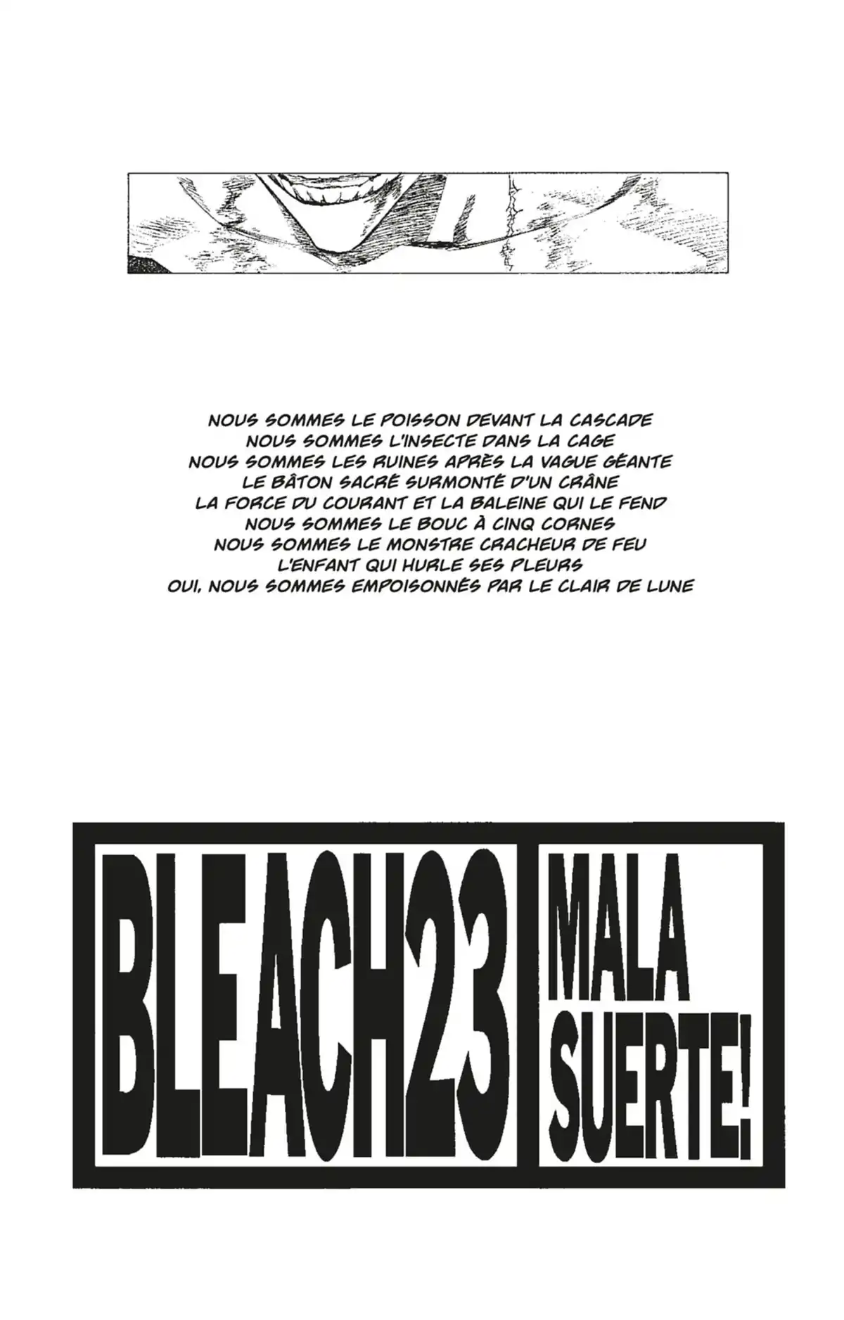 Bleach Volume 23 page 2