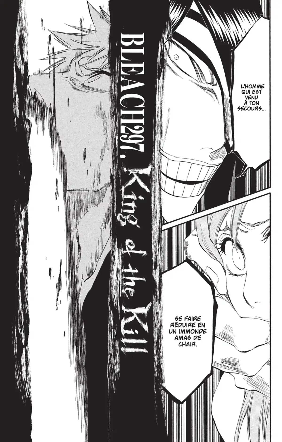 Bleach Volume 34 page 33